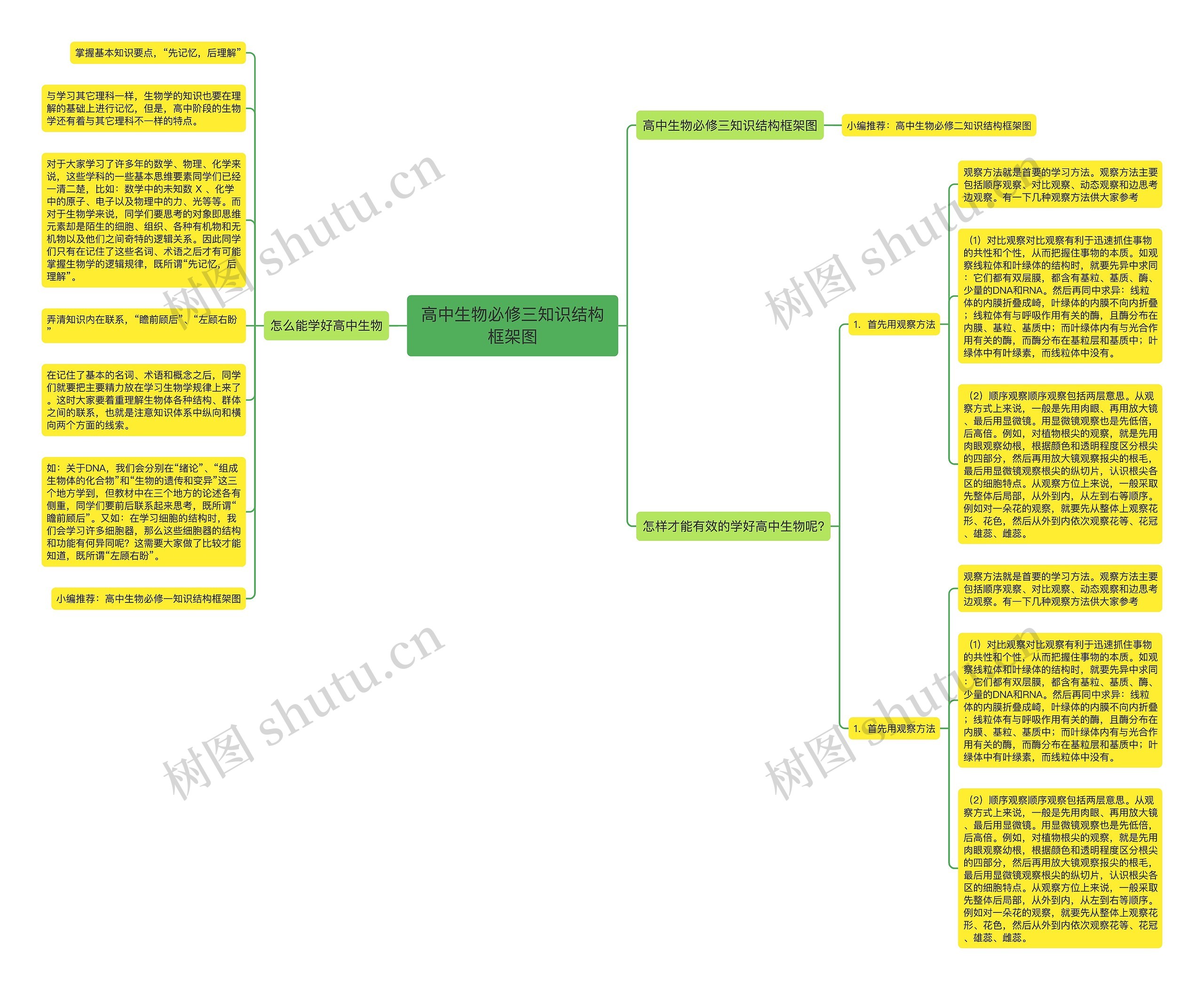 高中生物必修三知识结构框架图思维导图