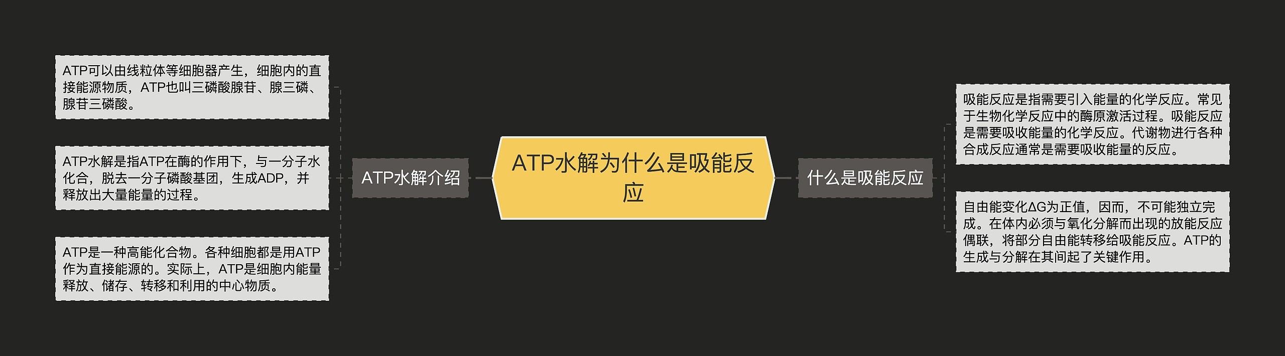 ATP水解为什么是吸能反应 ATP水解为什么是吸能反应