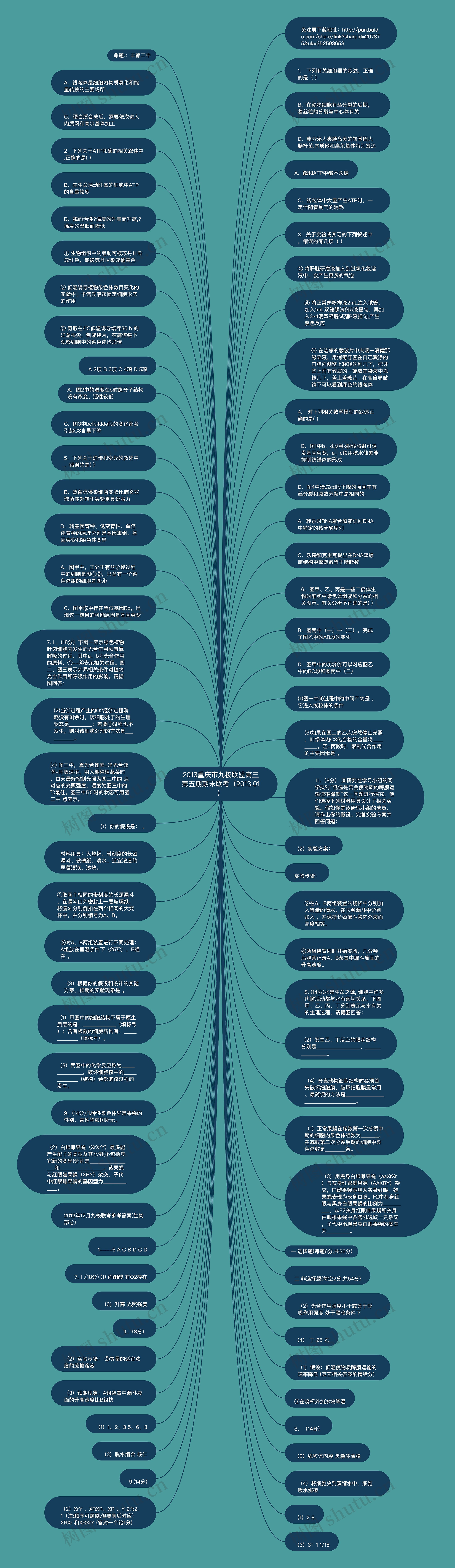 2013重庆市九校联盟高三第五期期末联考（2013.01）思维导图