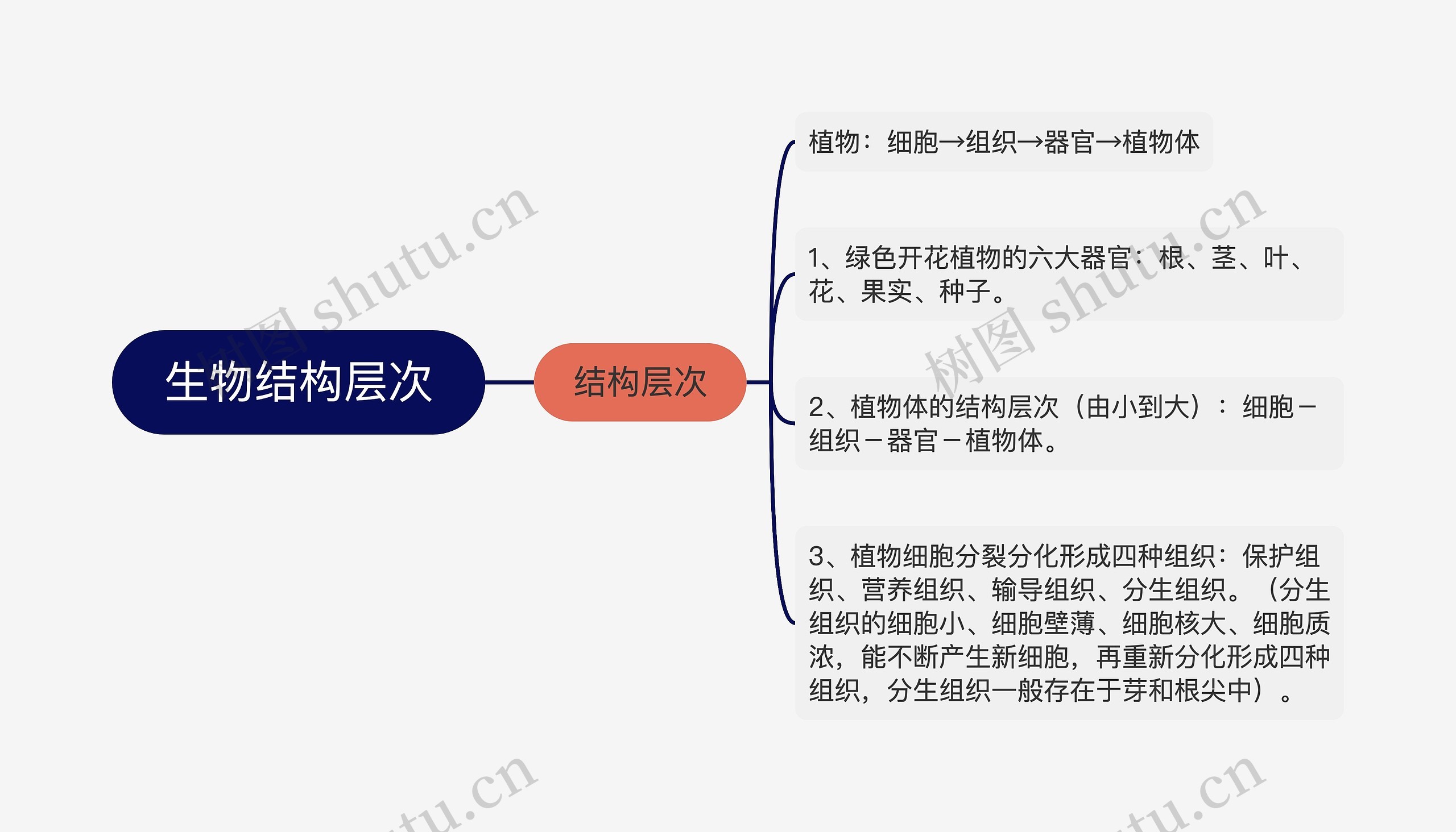 生物结构层次