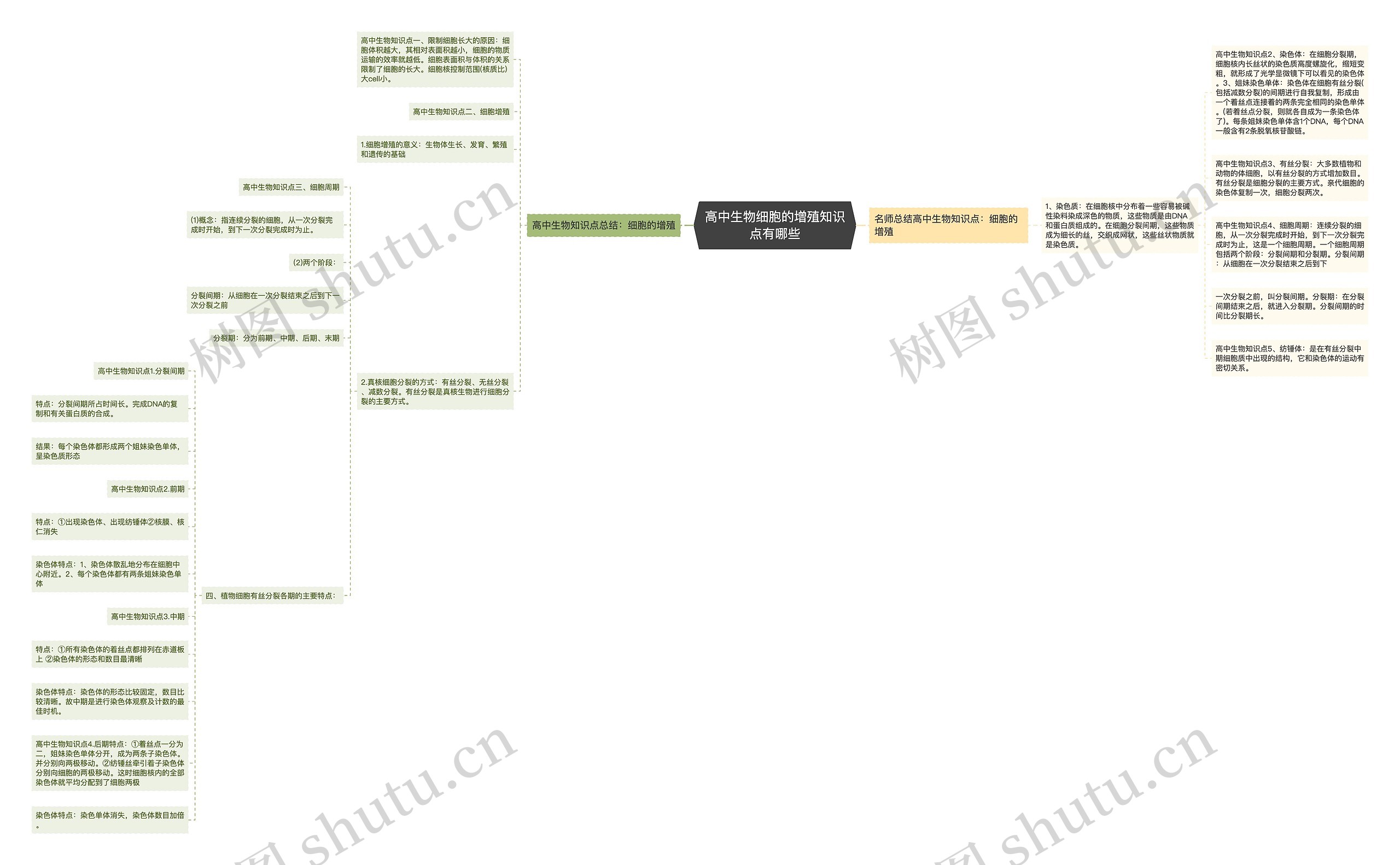 高中生物细胞的增殖知识点有哪些思维导图