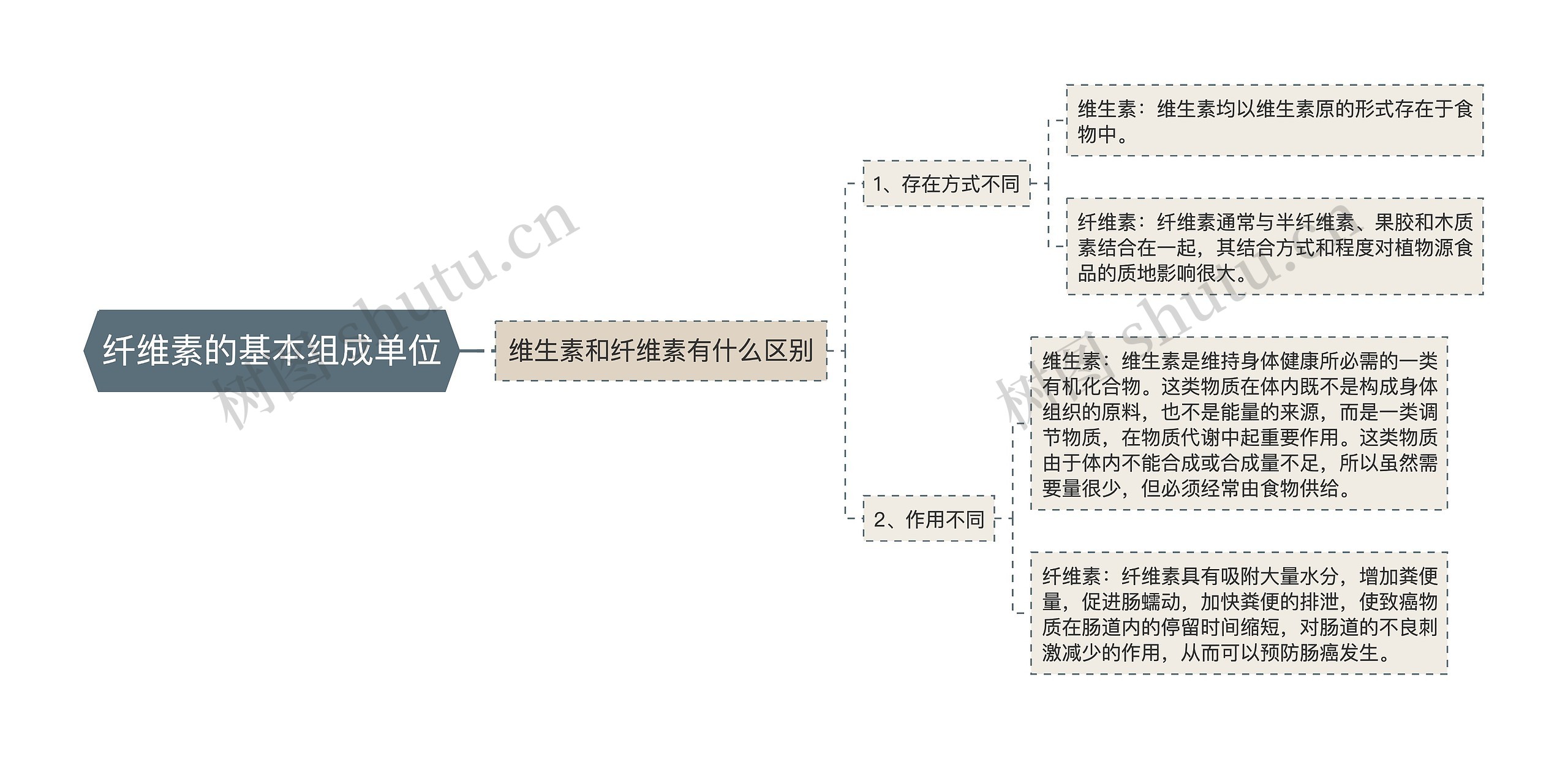 纤维素的基本组成单位思维导图