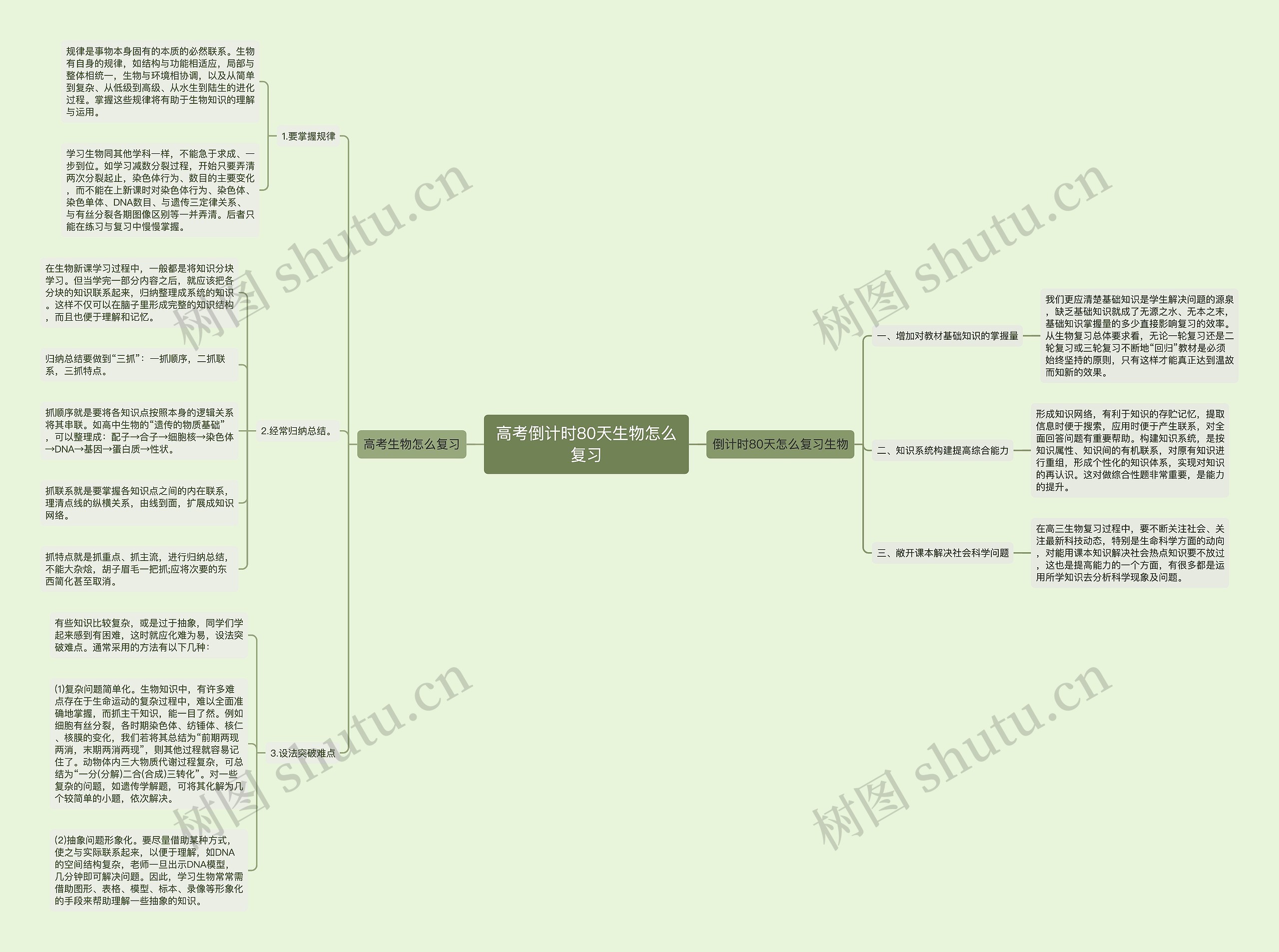 高考倒计时80天生物怎么复习思维导图