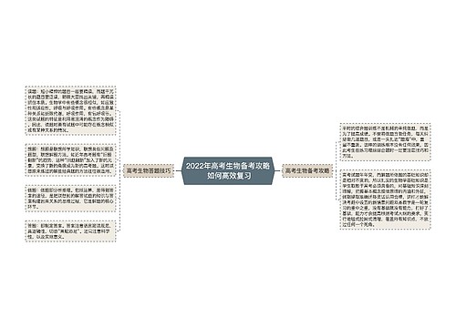 2022年高考生物备考攻略 如何高效复习