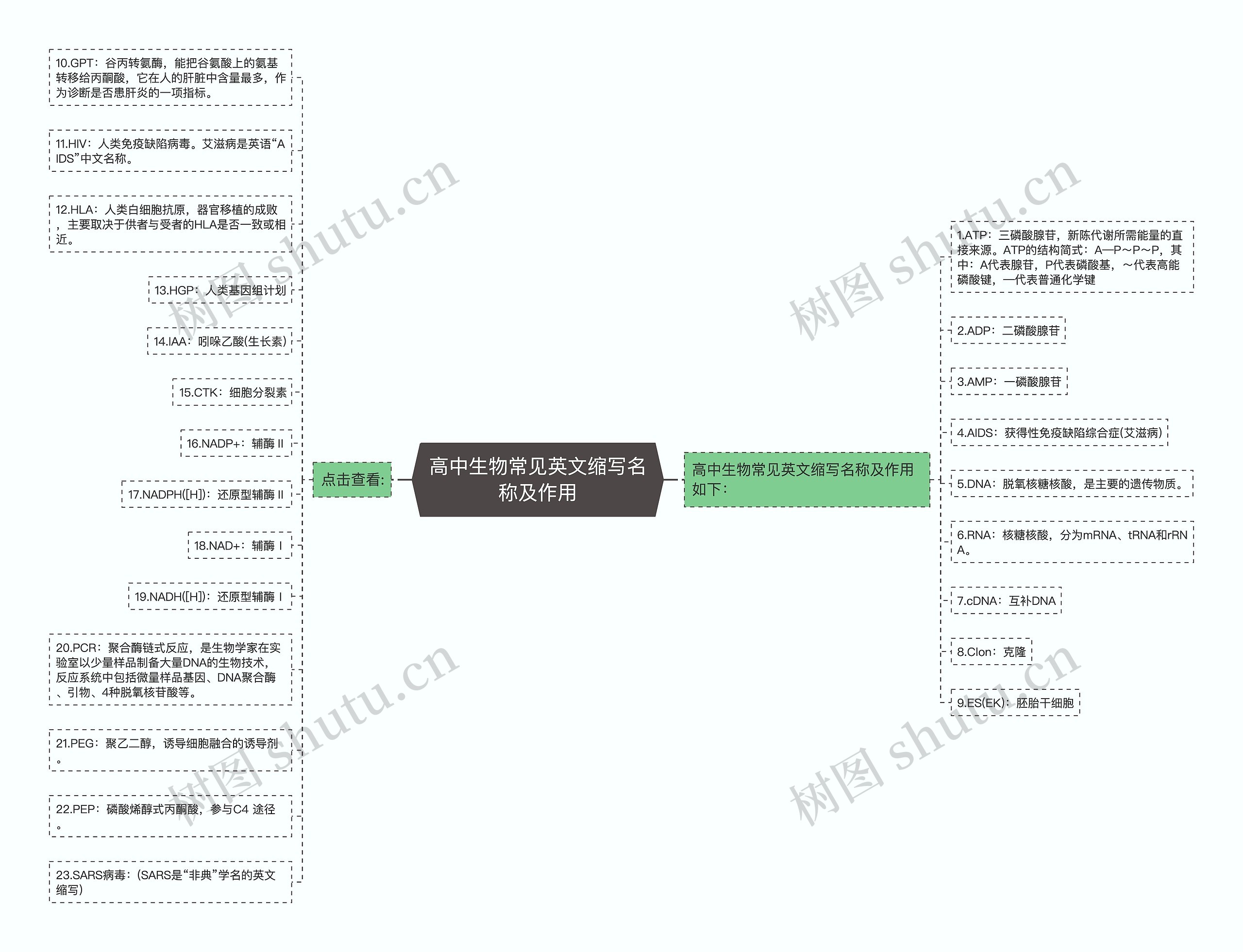 高中生物常见英文缩写名称及作用