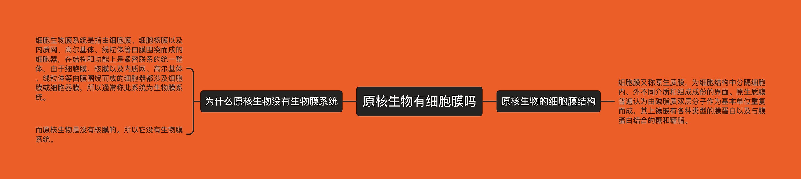 原核生物有细胞膜吗思维导图