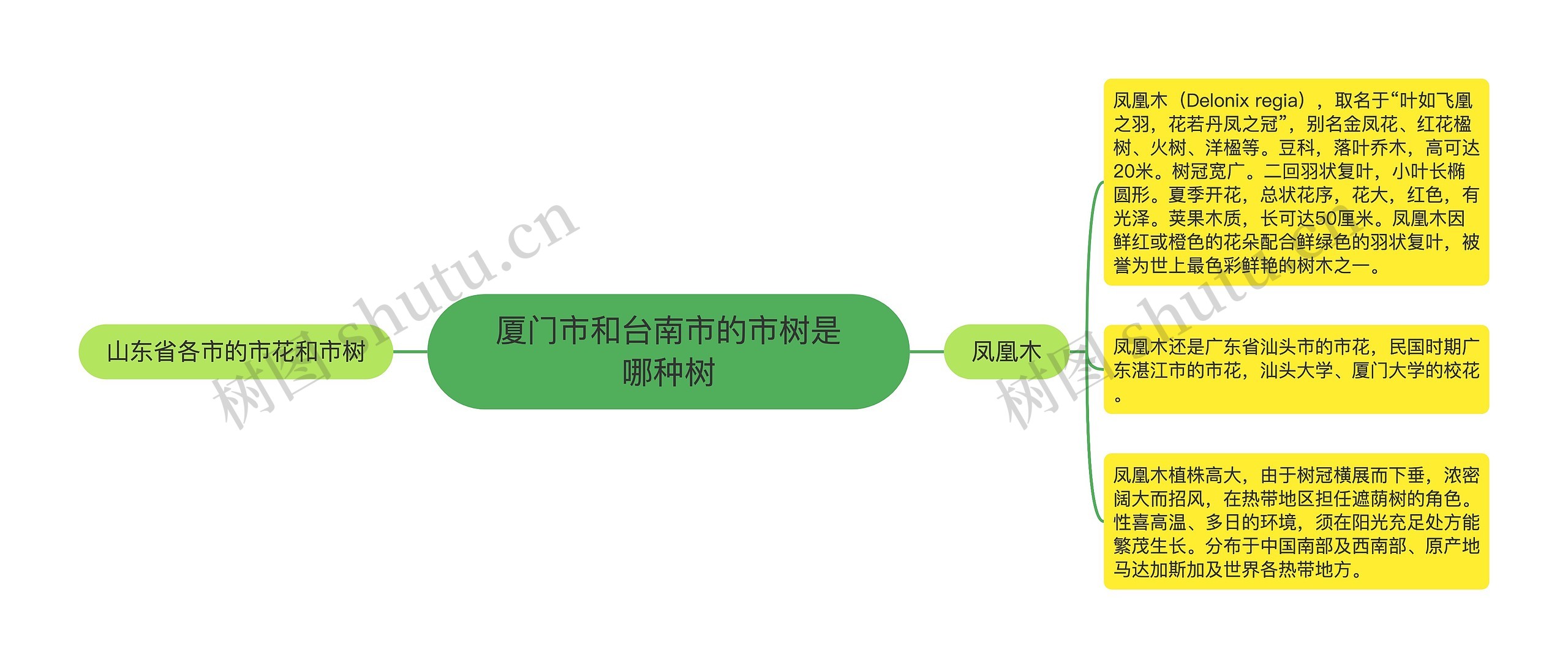 厦门市和台南市的市树是哪种树