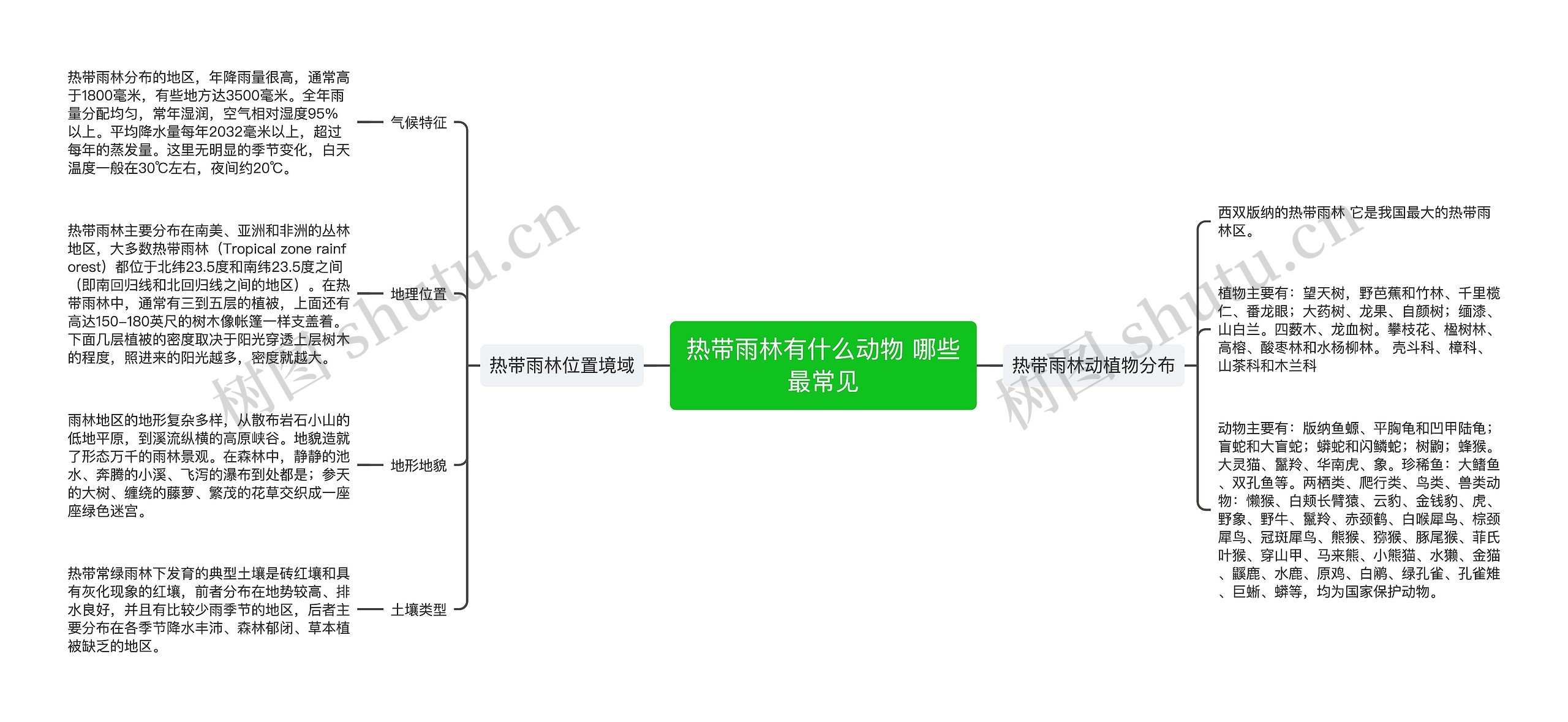 热带雨林有什么动物 哪些最常见