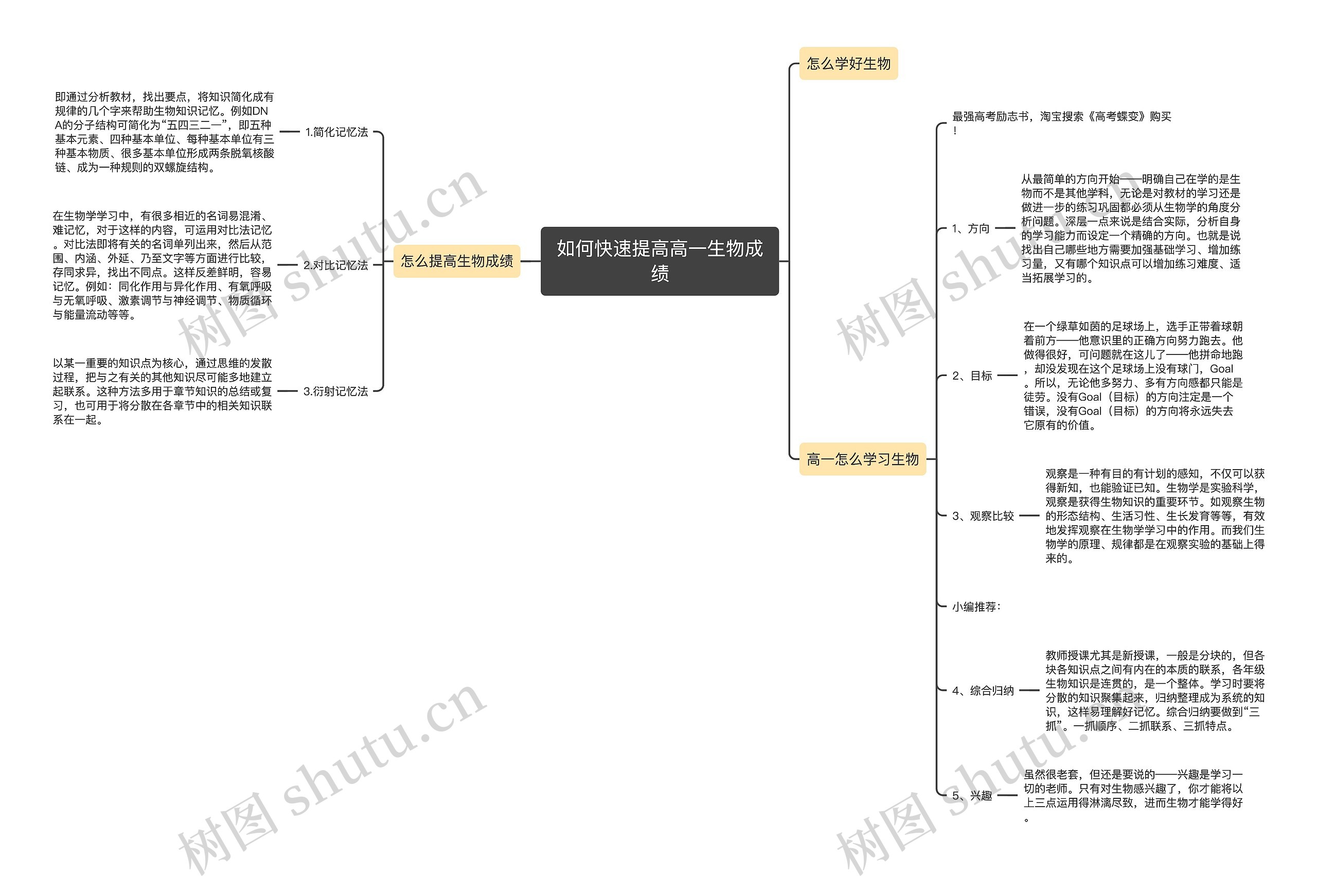 如何快速提高高一生物成绩思维导图