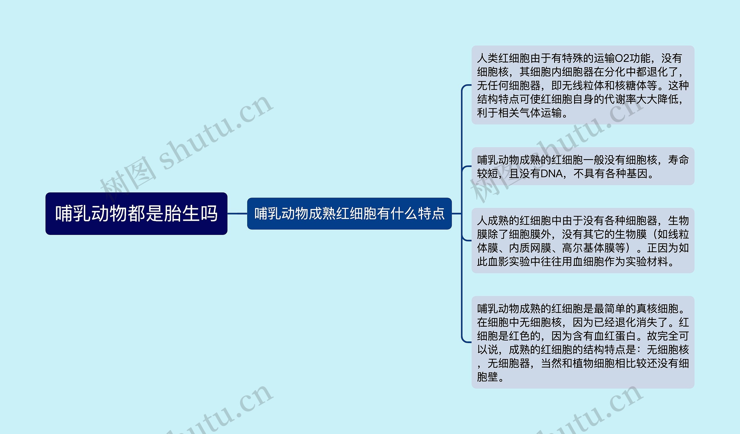 哺乳动物都是胎生吗 哺乳动物都是胎生吗