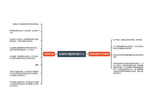 实践的功能指的是什么