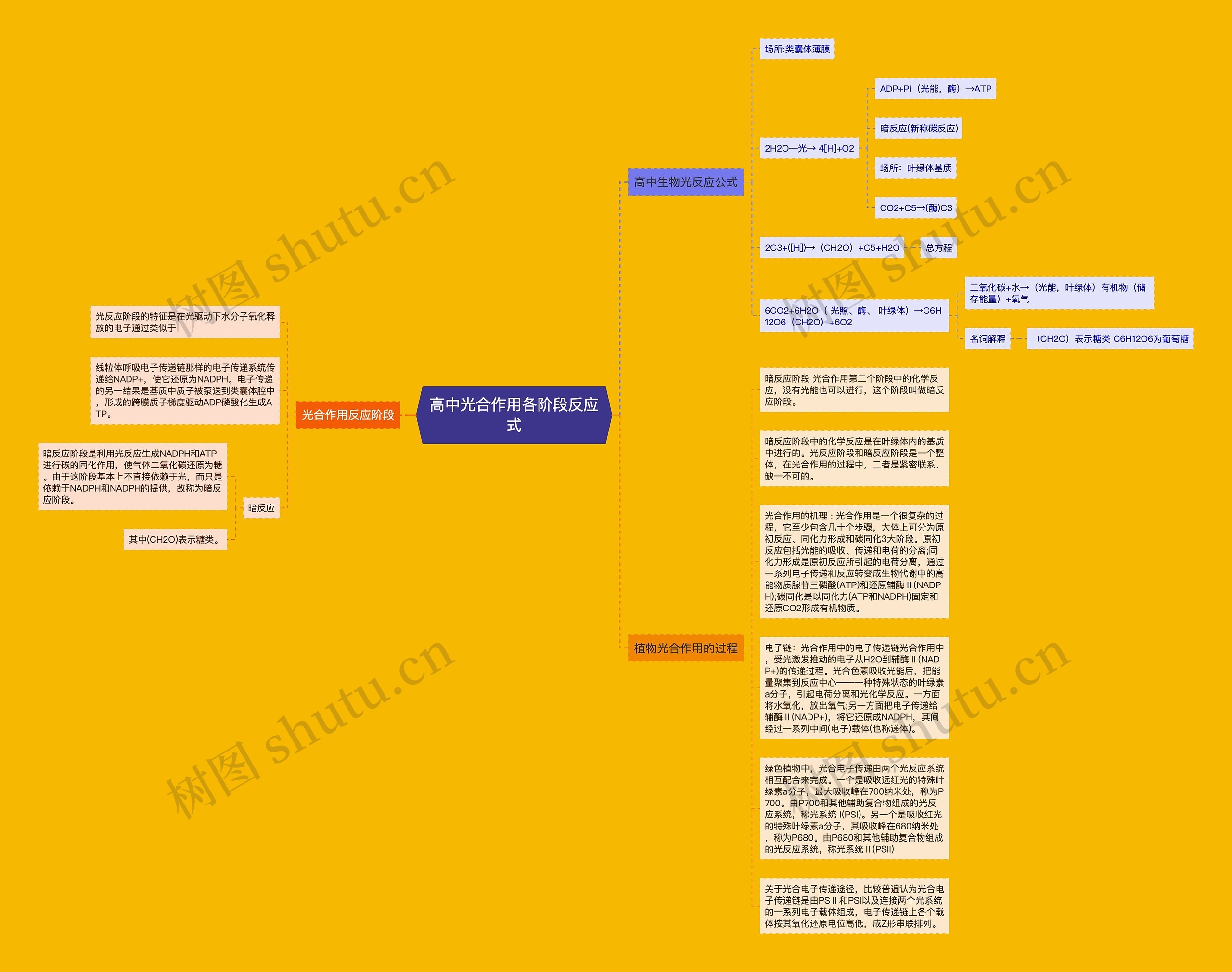 高中光合作用各阶段反应式思维导图