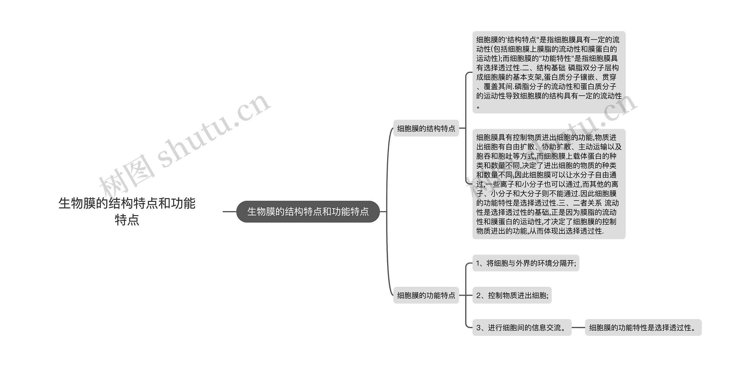 生物膜的结构特点和功能特点 生物膜的结构特点和功能特点
