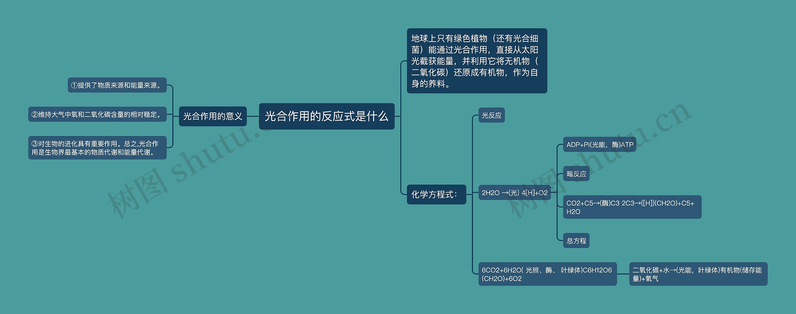 光合作用的反应式是什么思维导图