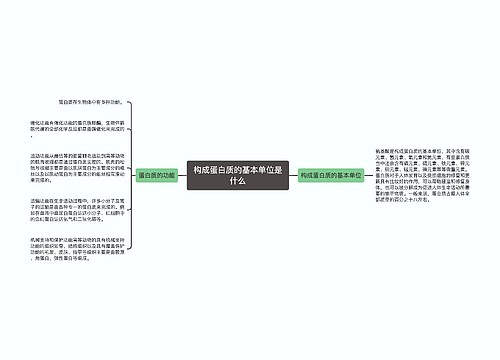 构成蛋白质的基本单位是什么