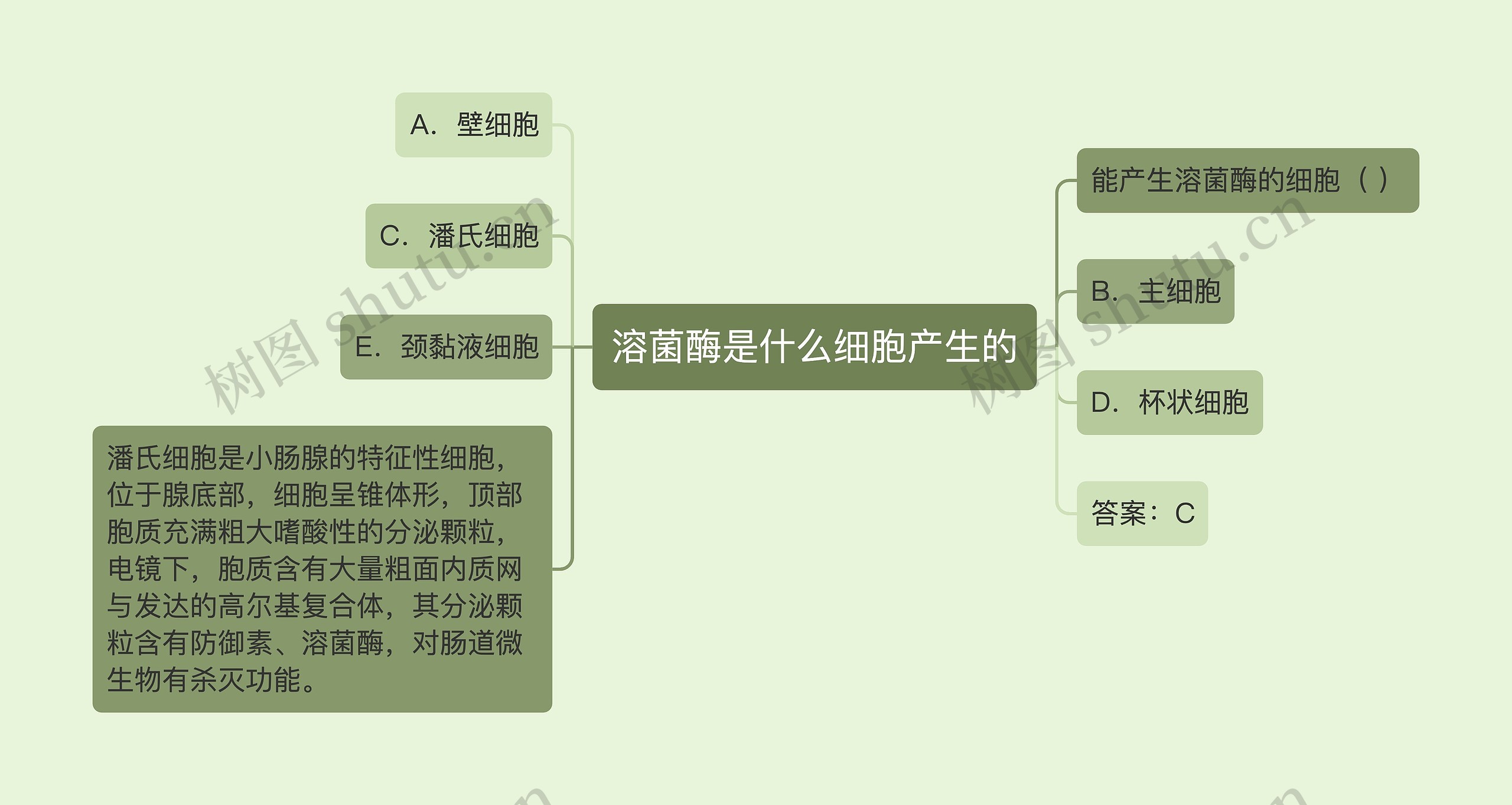 溶菌酶是什么细胞产生的思维导图