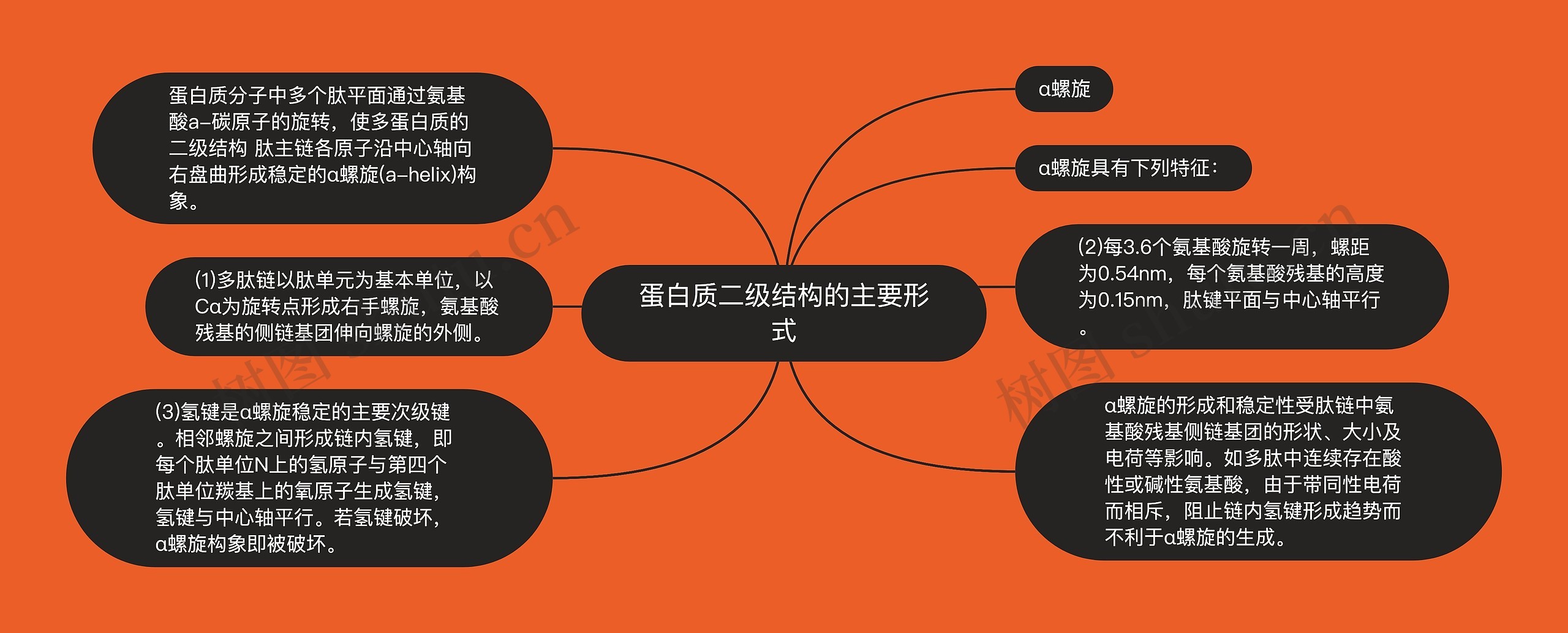 蛋白质二级结构的主要形式 蛋白质二级结构的主要形式