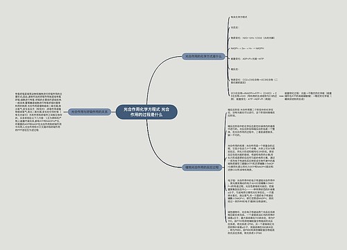 光合作用化学方程式 光合作用的过程是什么