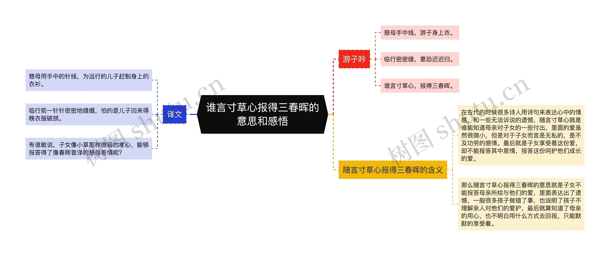 谁言寸草心报得三春晖的意思和感悟思维导图