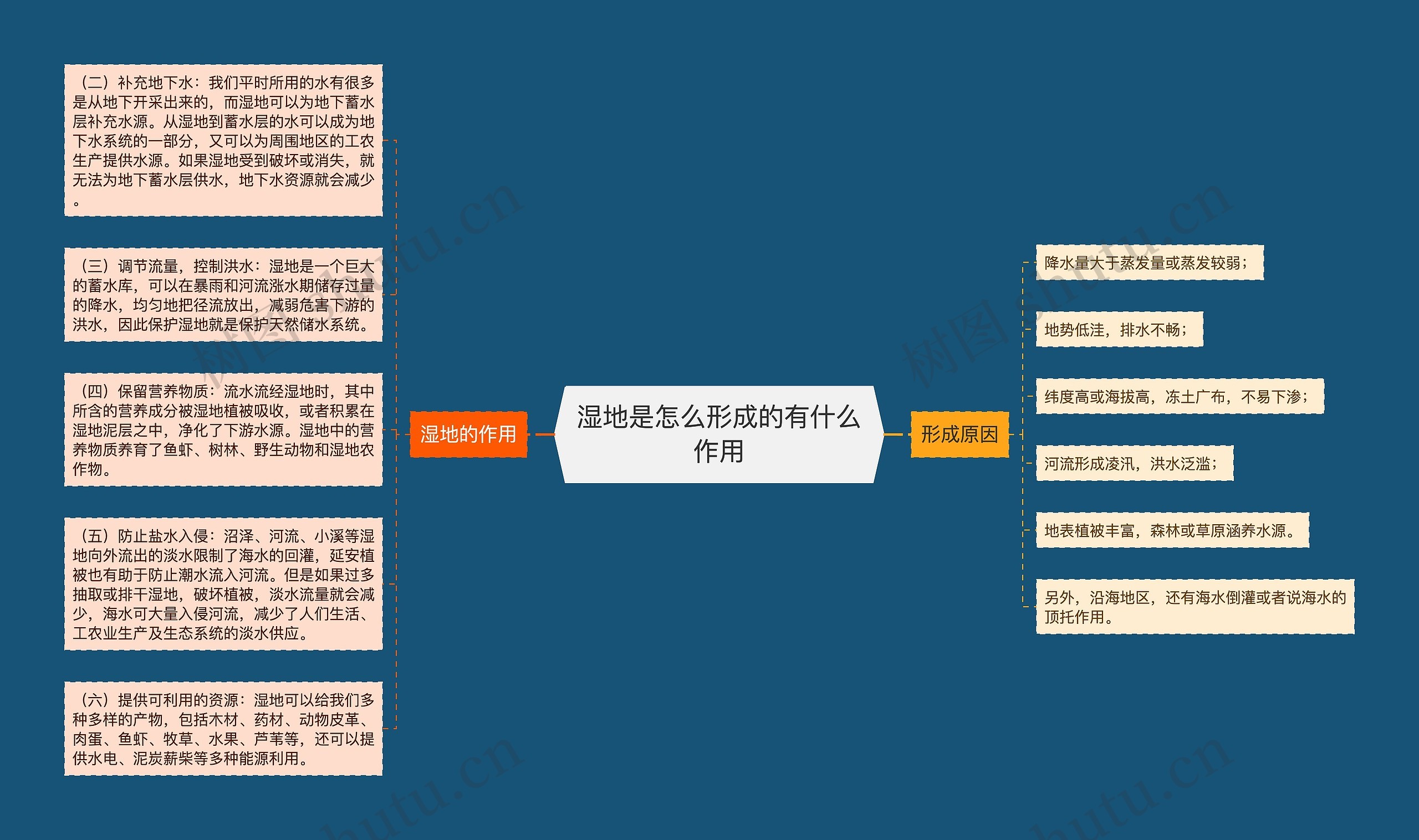 湿地是怎么形成的有什么作用思维导图