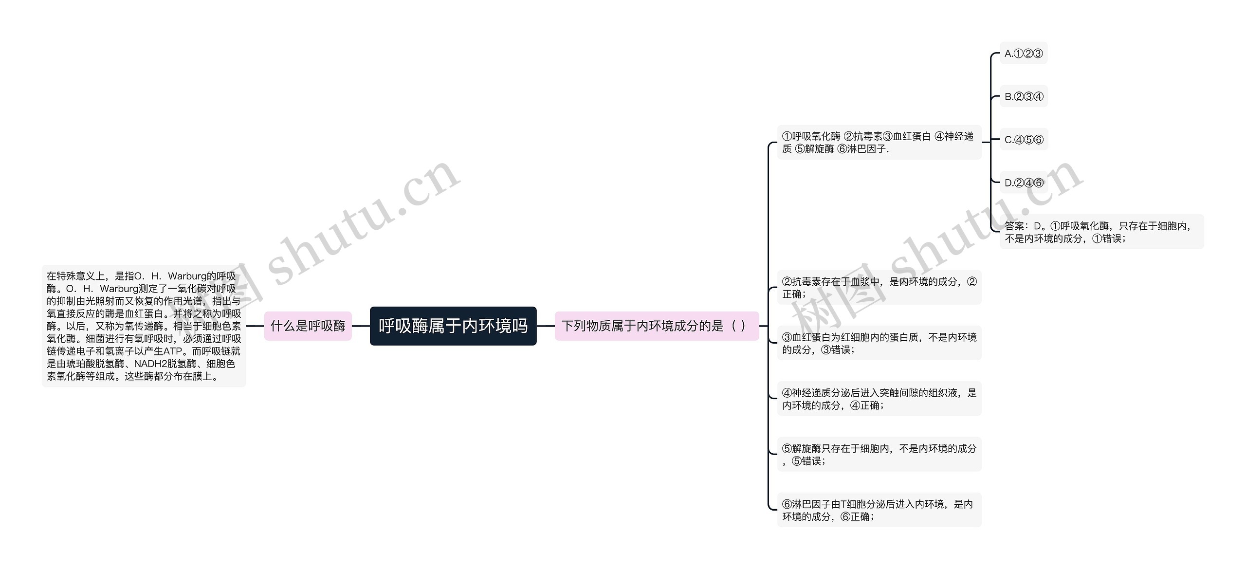 呼吸酶属于内环境吗