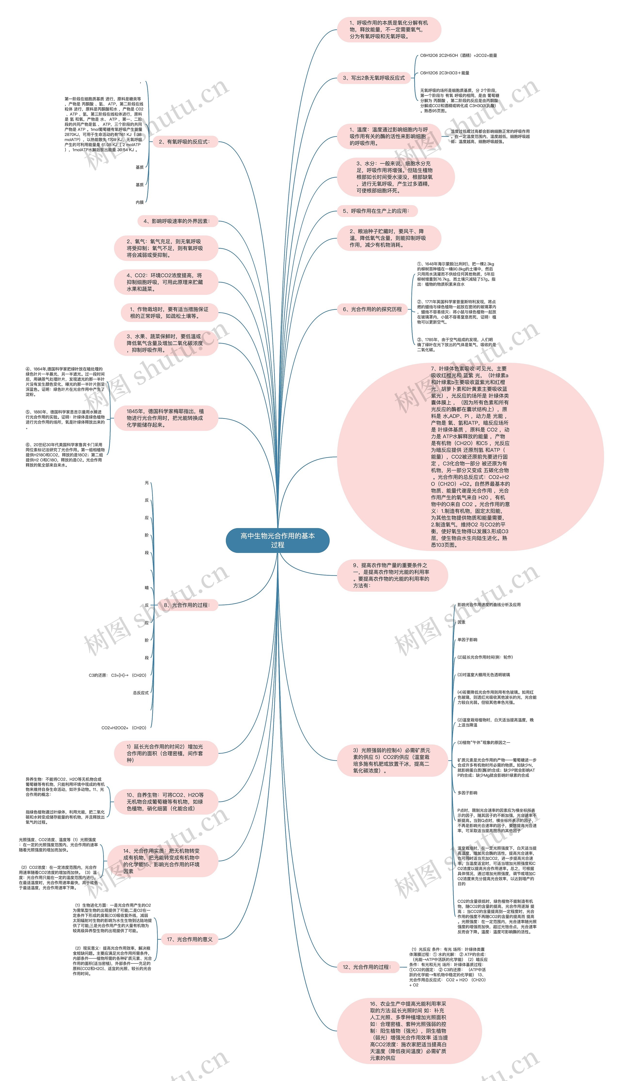 高中生物光合作用的基本过程思维导图