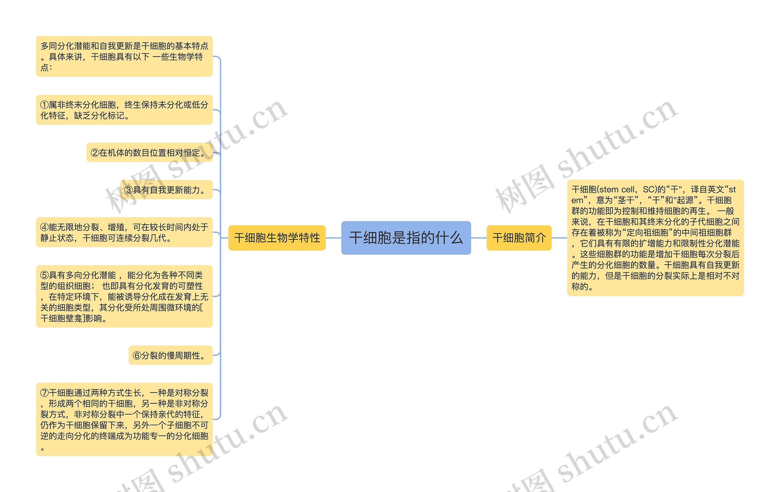 干细胞是指的什么