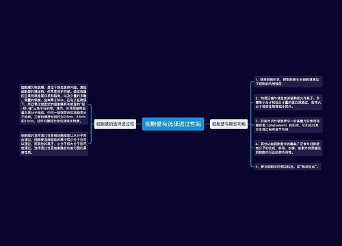 细胞壁有选择透过性吗