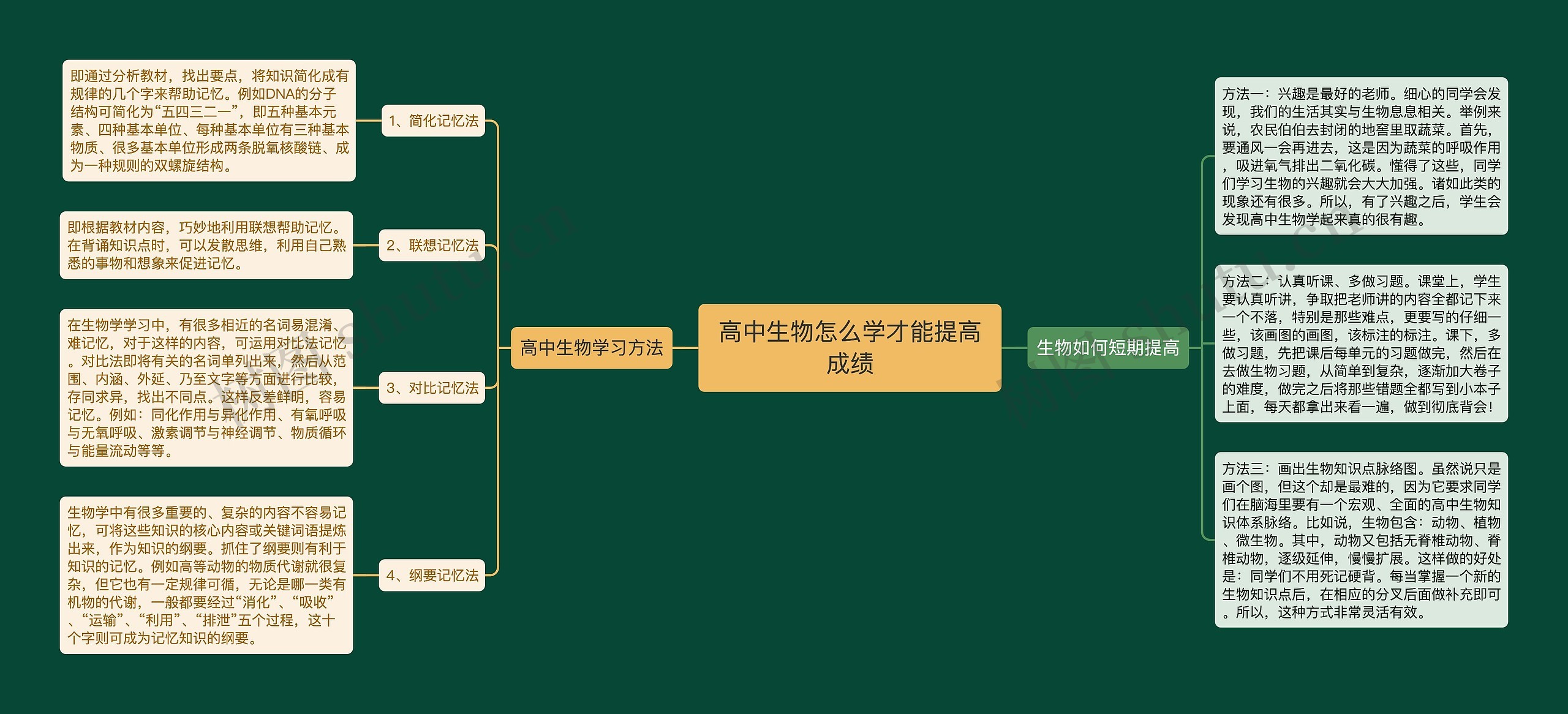 高中生物怎么学才能提高成绩思维导图