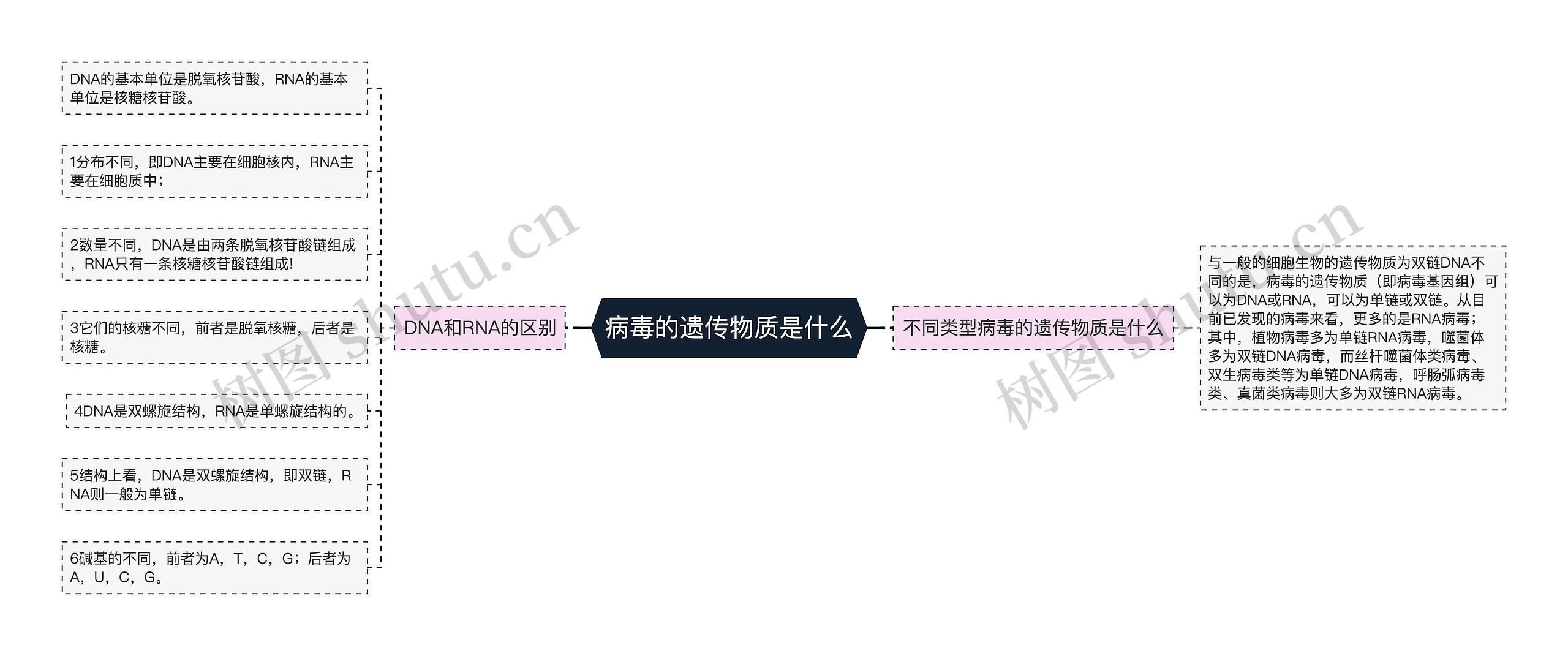 病毒的遗传物质是什么