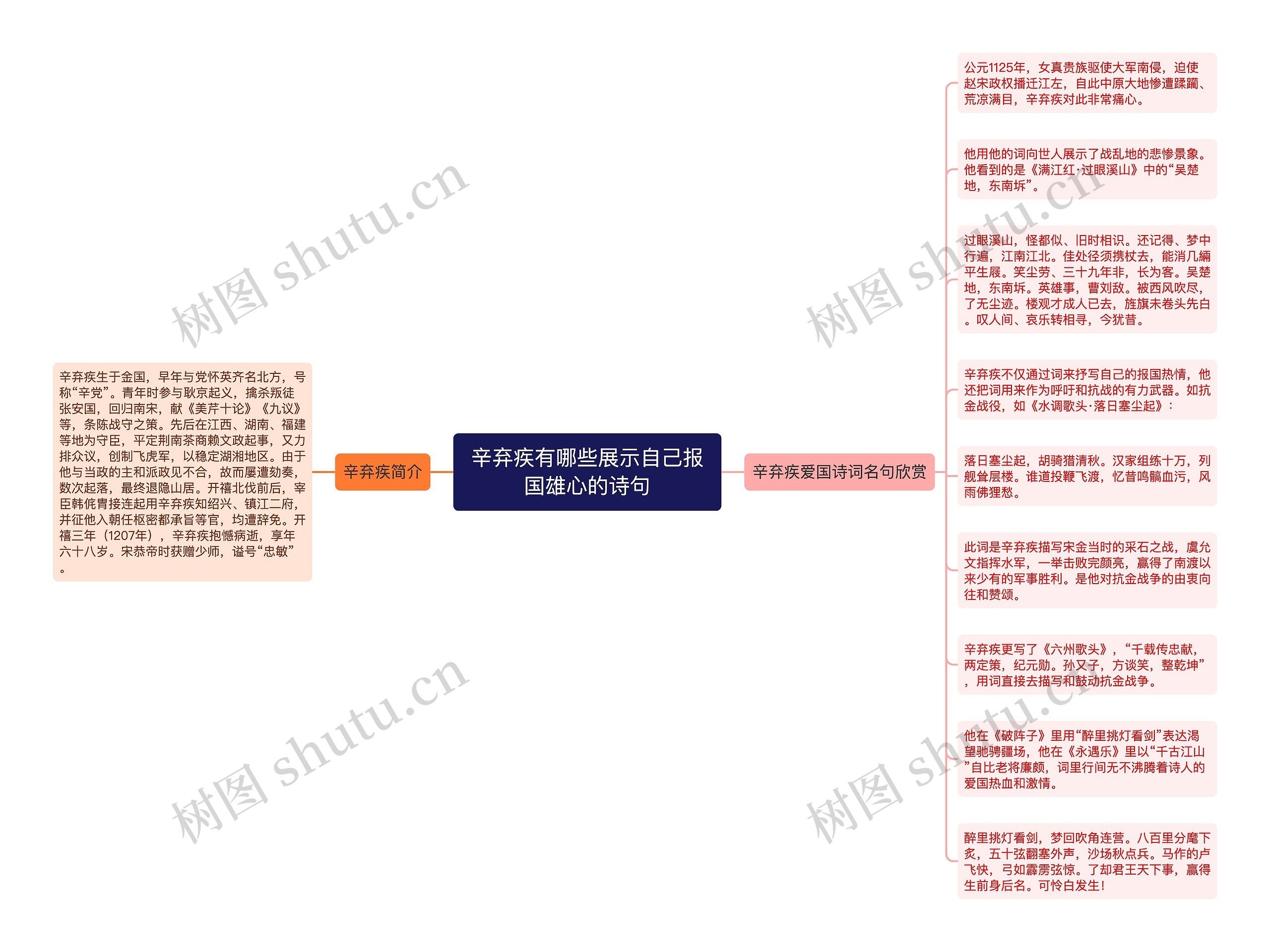 辛弃疾有哪些展示自己报国雄心的诗句思维导图