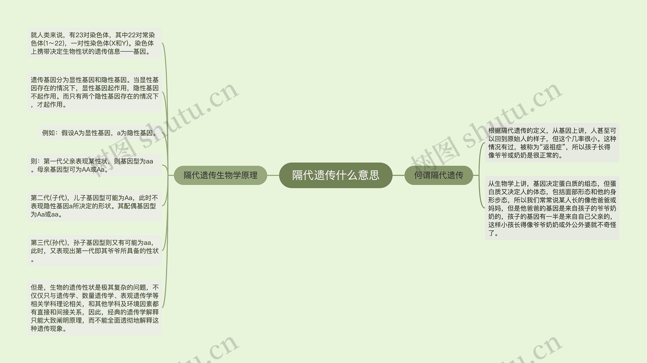 隔代遗传什么意思