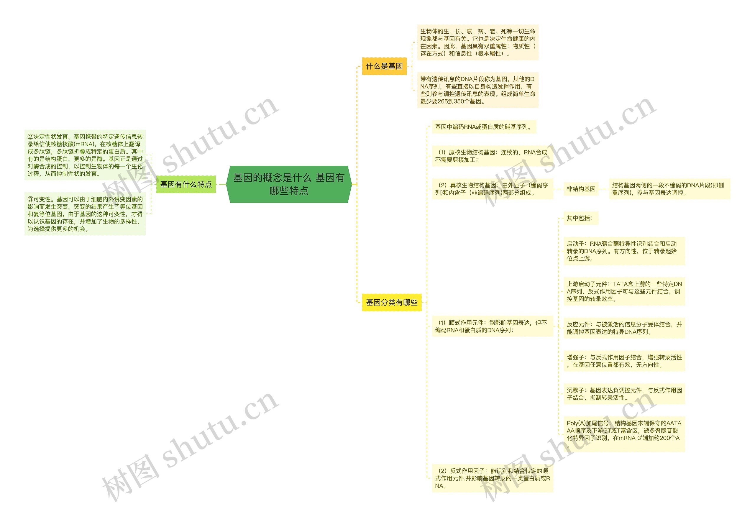 基因的概念是什么 基因有哪些特点思维导图