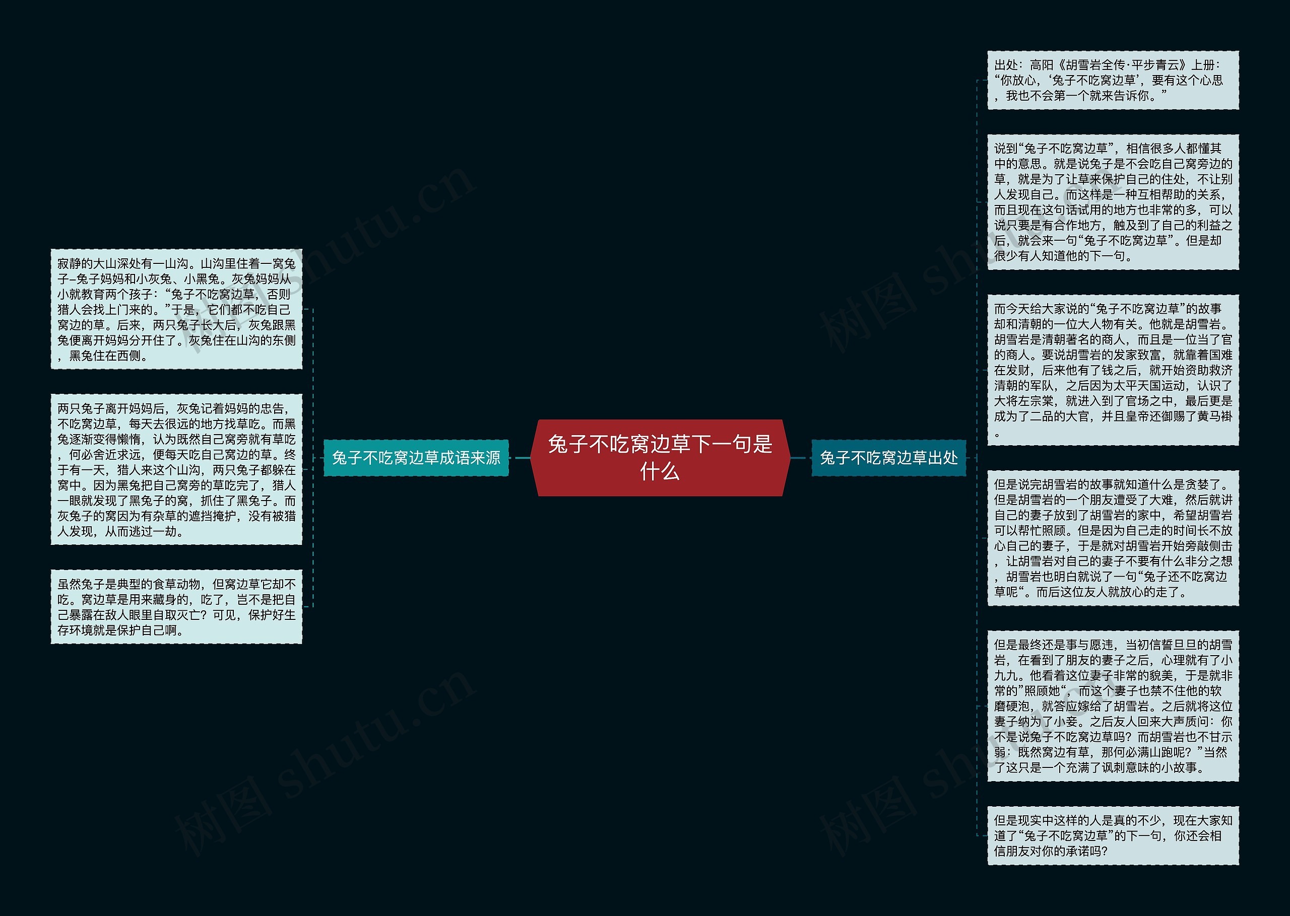 兔子不吃窝边草下一句是什么