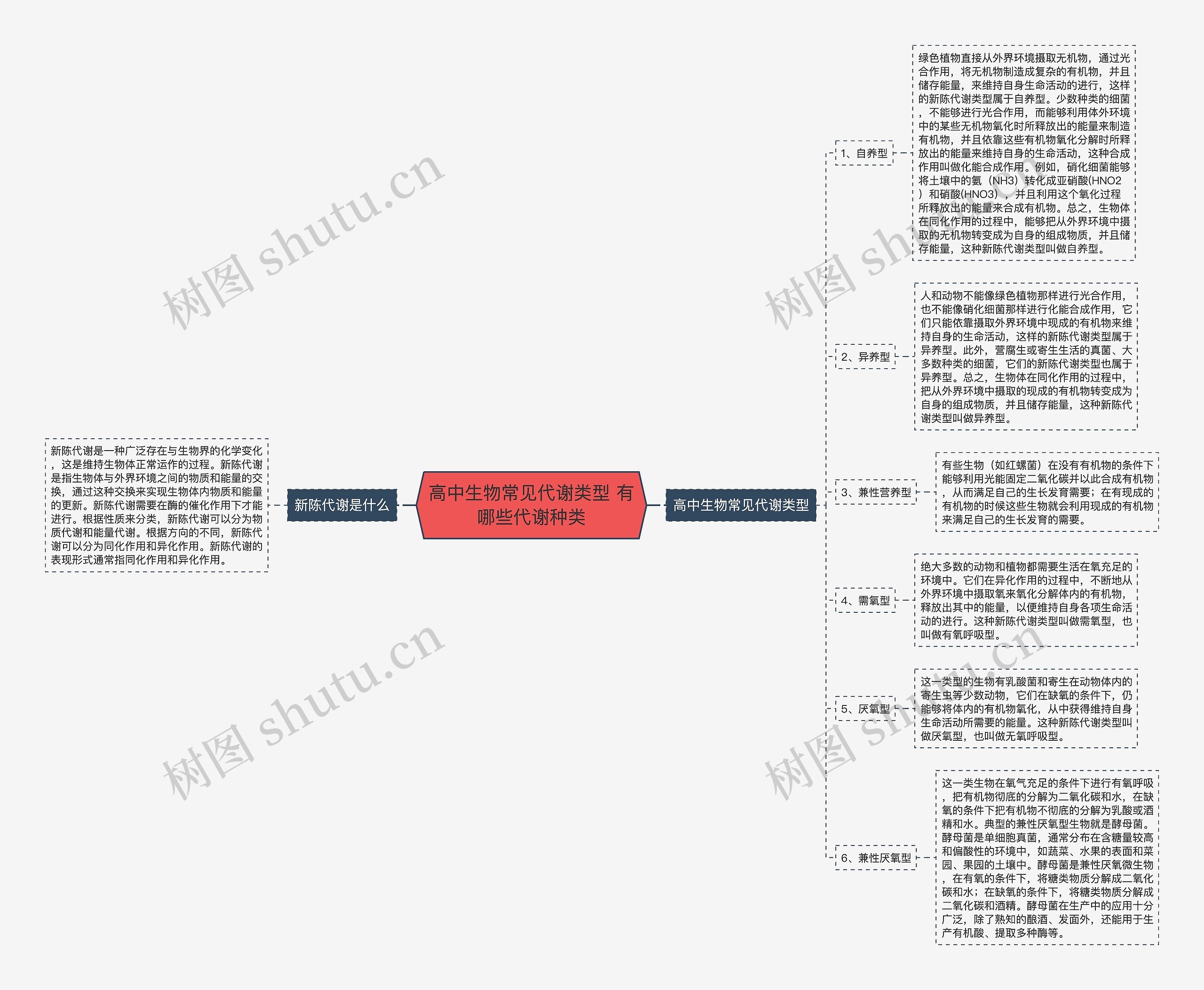 高中生物常见代谢类型 有哪些代谢种类思维导图