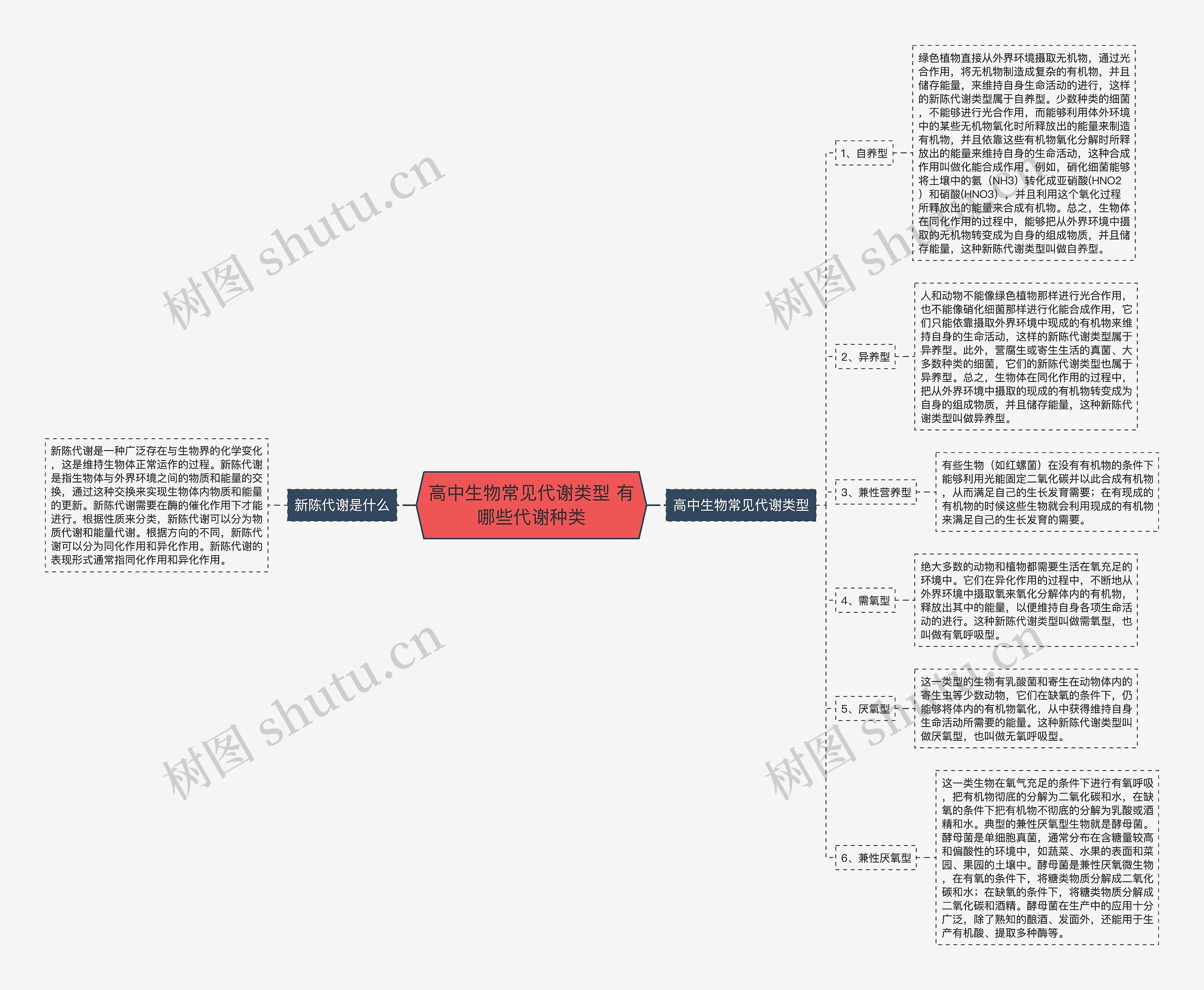 高中生物常见代谢类型 有哪些代谢种类 高中生物常见代谢类型 有哪些代谢种类