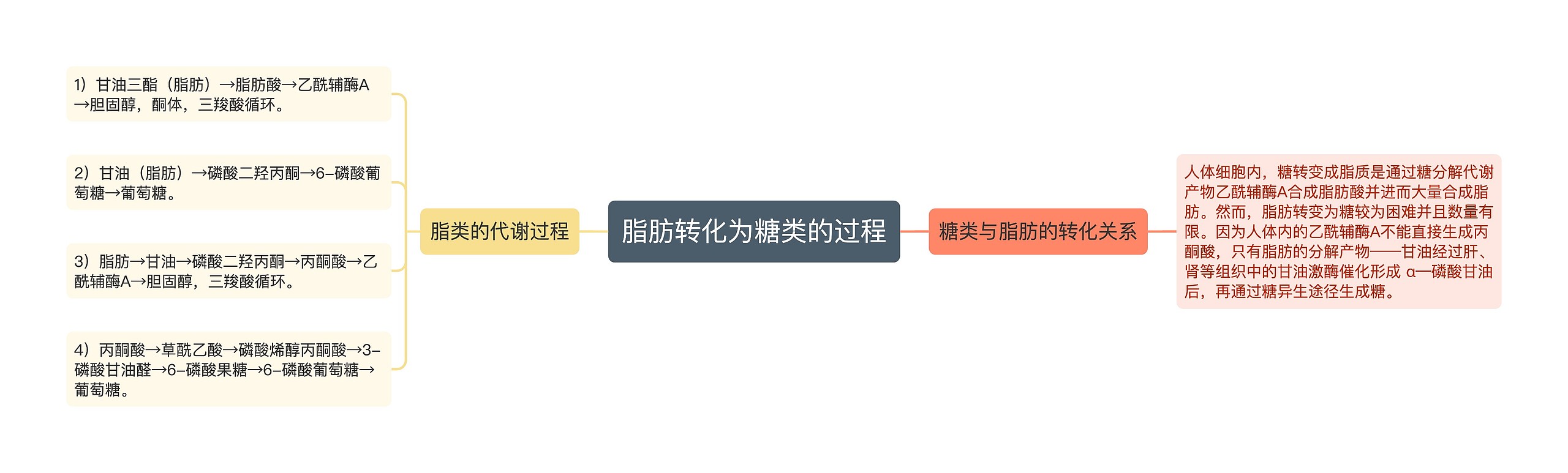 脂肪转化为糖类的过程