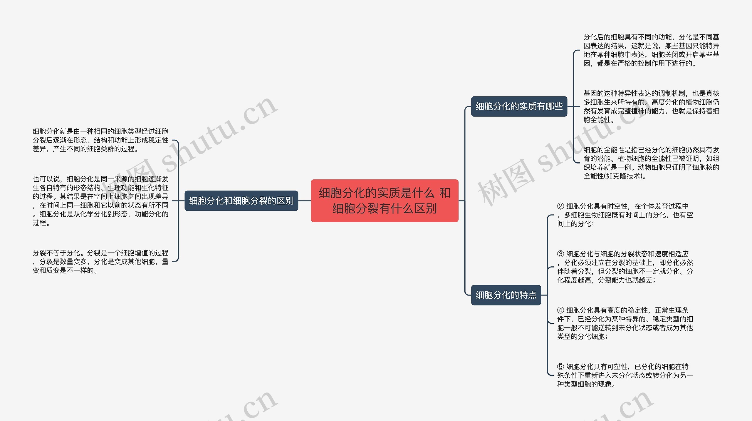 细胞分化的实质是什么 和细胞分裂有什么区别思维导图