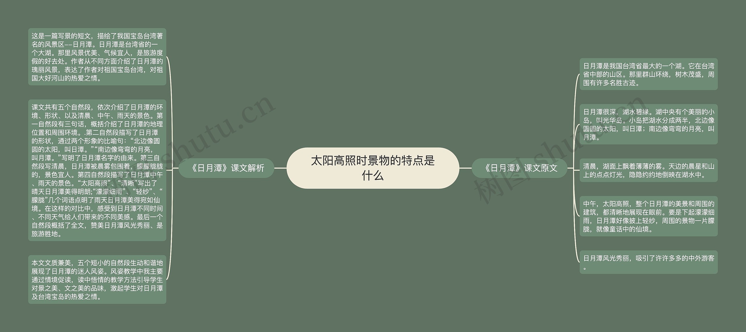 太阳高照时景物的特点是什么