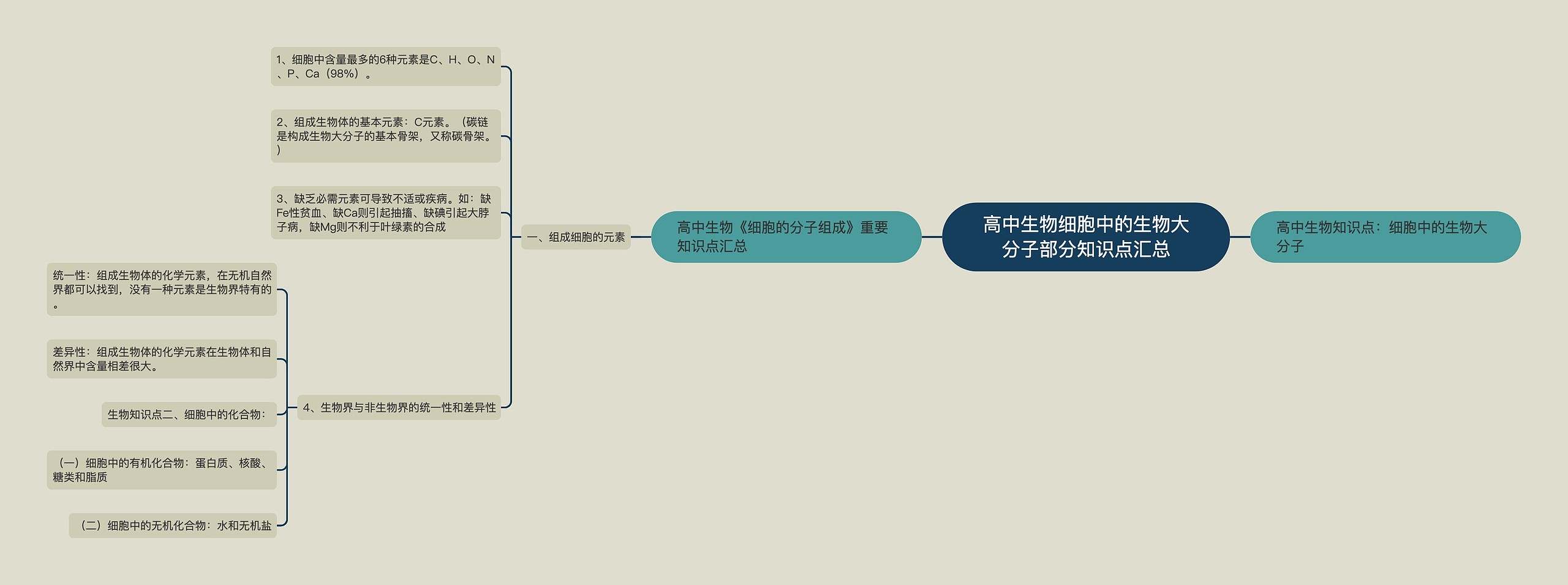 高中生物细胞中的生物大分子部分知识点汇总思维导图