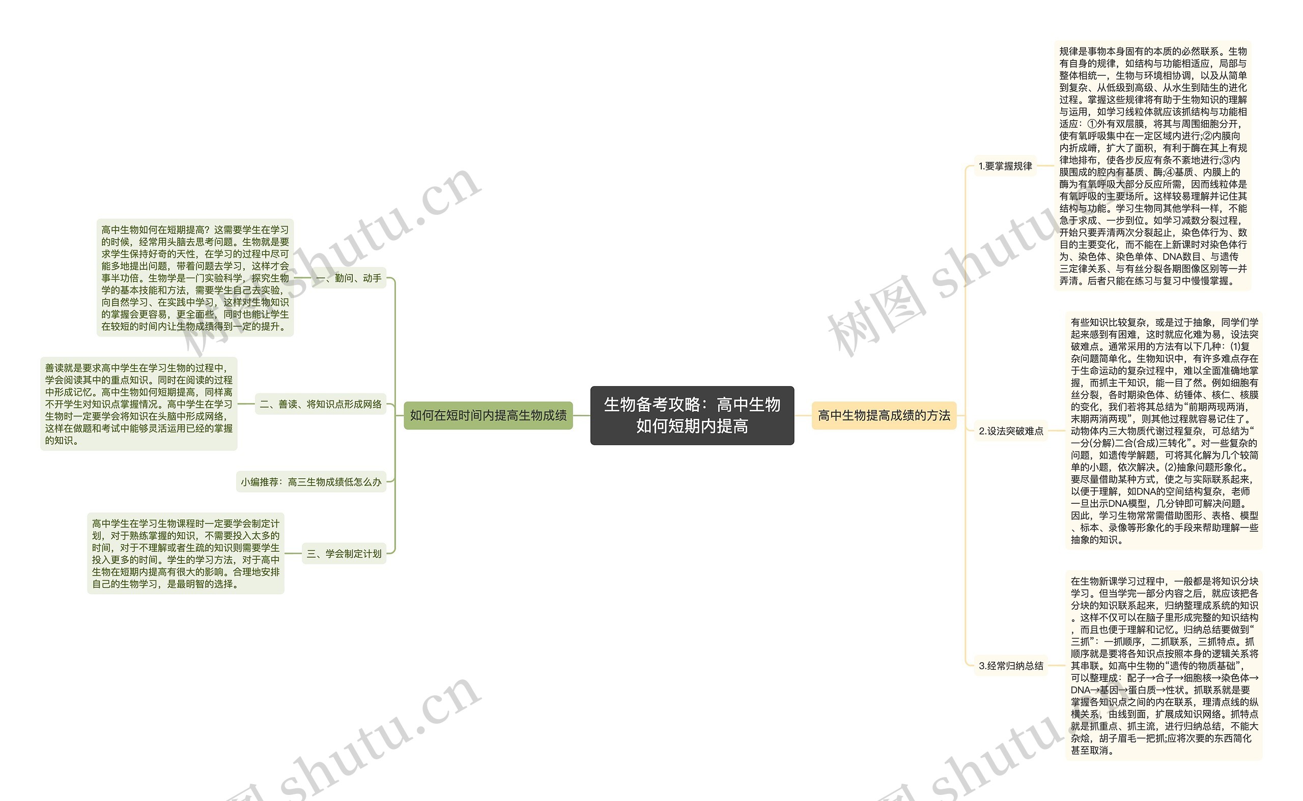 生物备考攻略：高中生物如何短期内提高思维导图