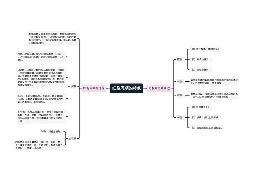 细胞周期的特点