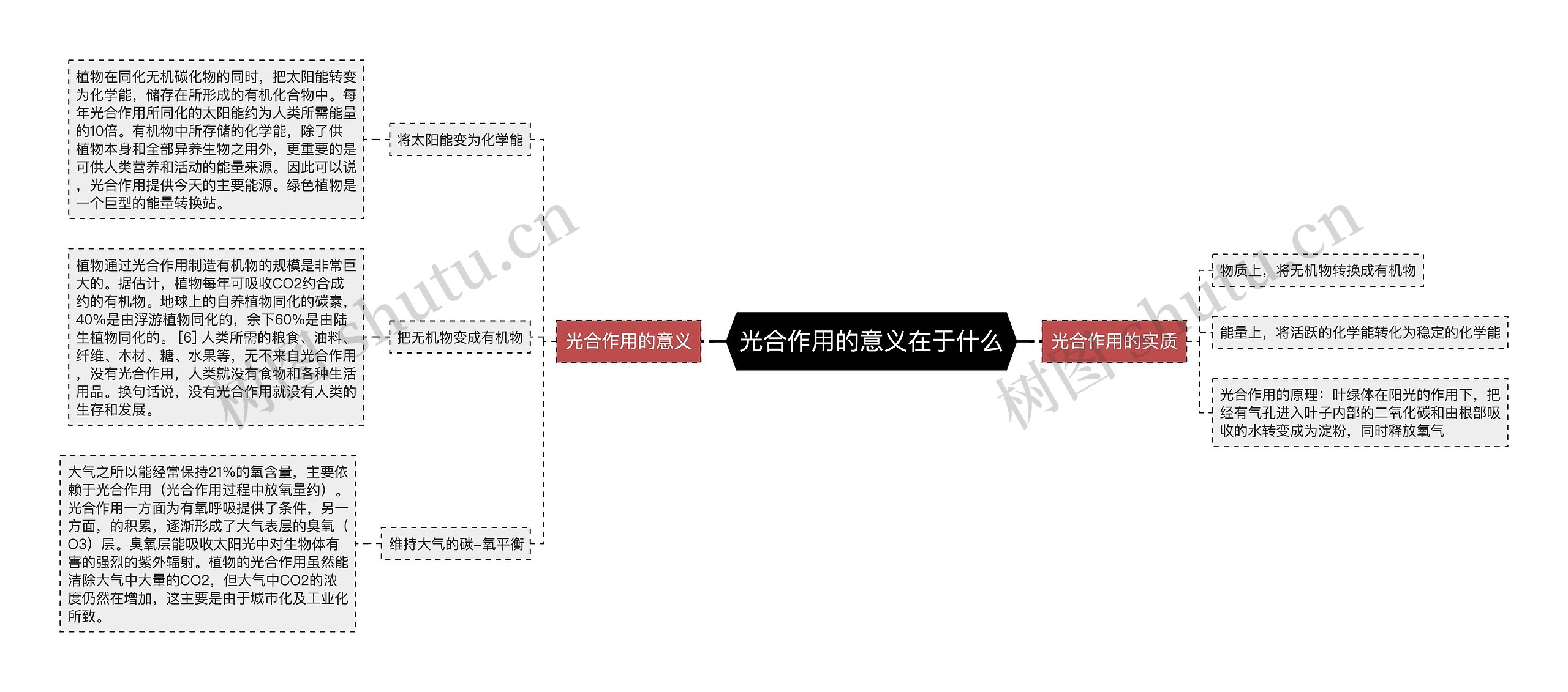 光合作用的意义在于什么