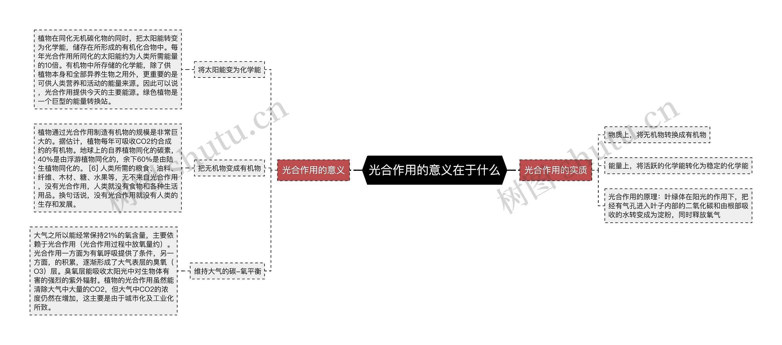 光合作用的意义在于什么思维导图