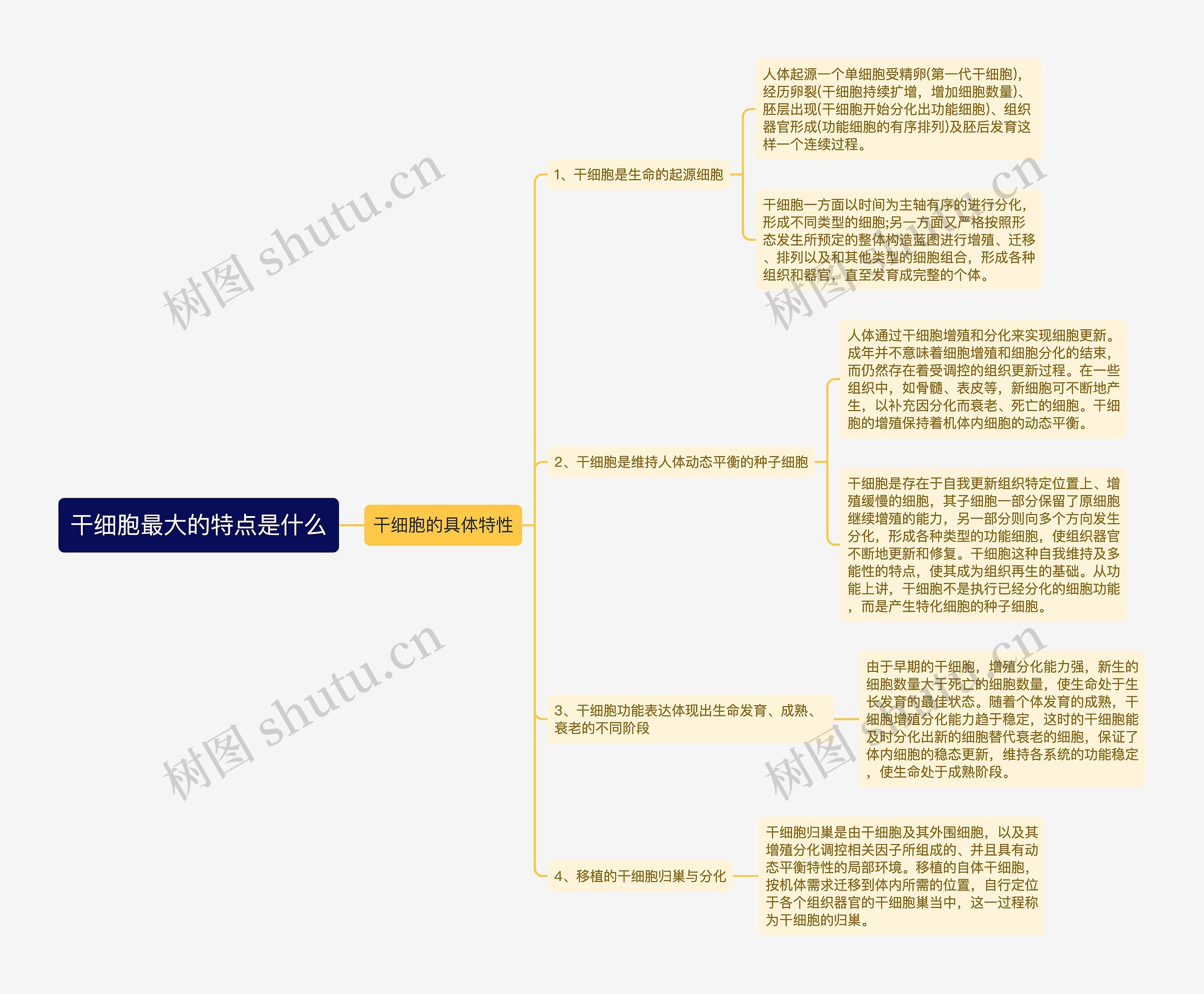 干细胞最大的特点是什么思维导图