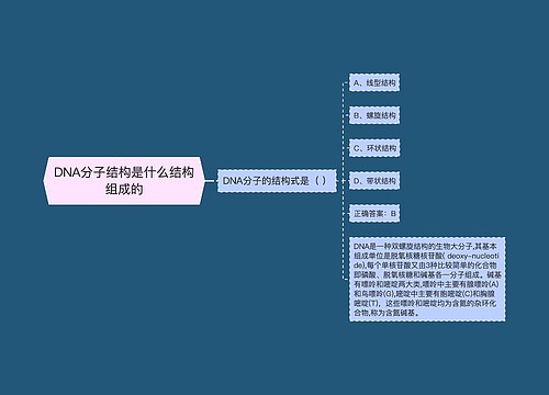 DNA分子结构是什么结构组成的