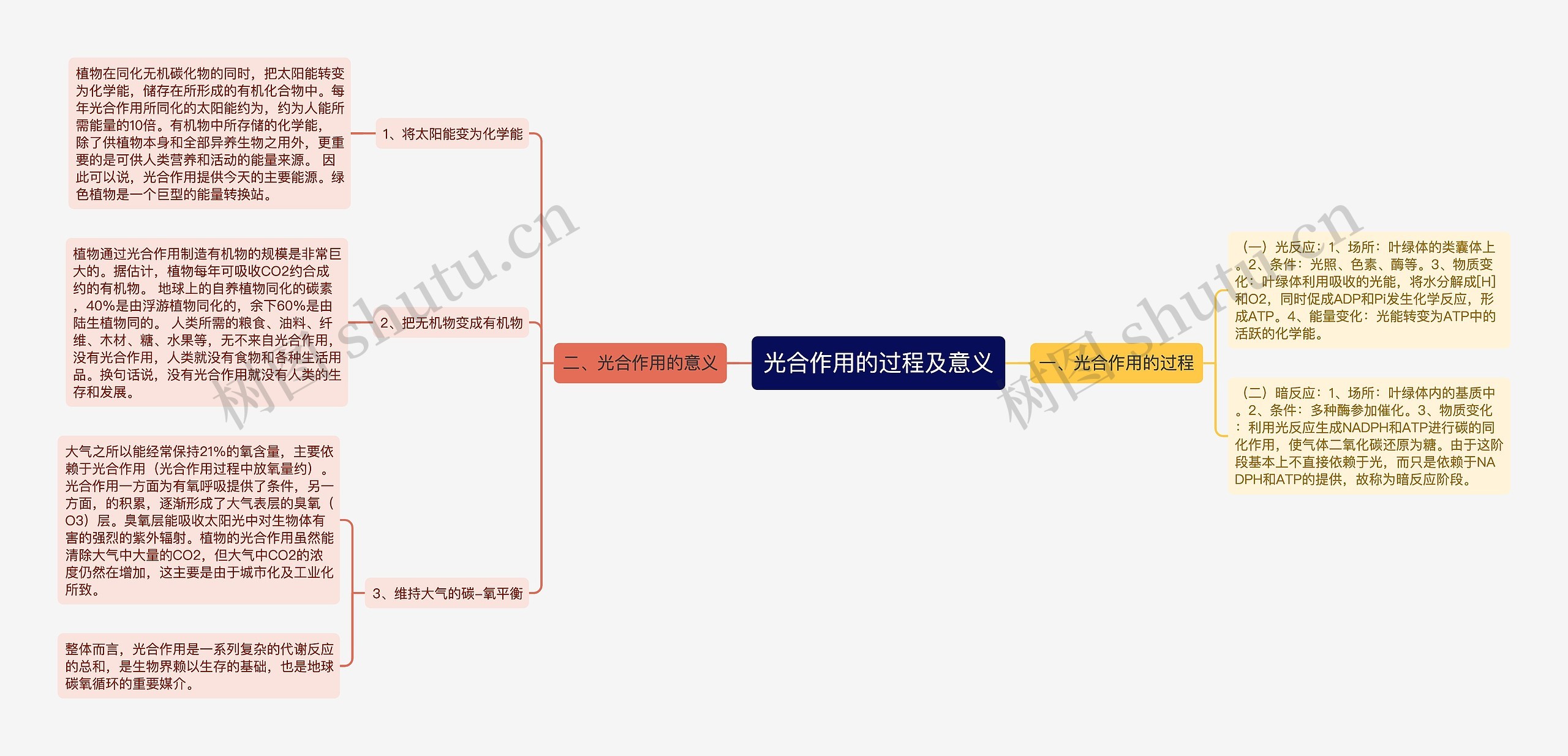 光合作用的过程及意义