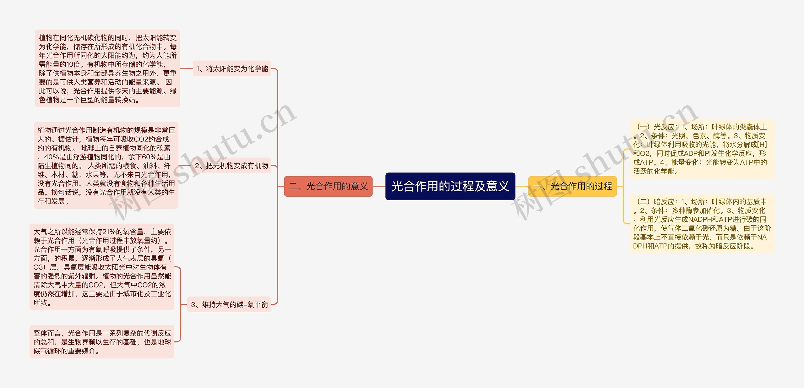 光合作用的过程及意义思维导图