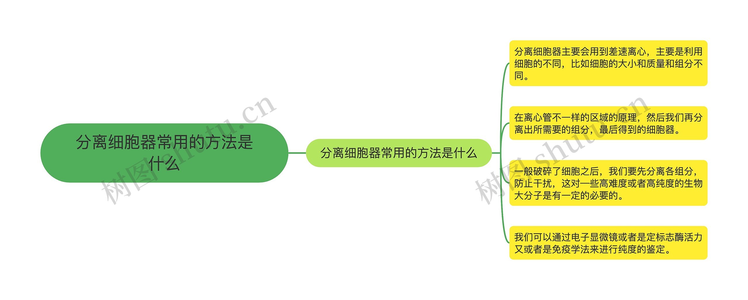 分离细胞器常用的方法是什么思维导图