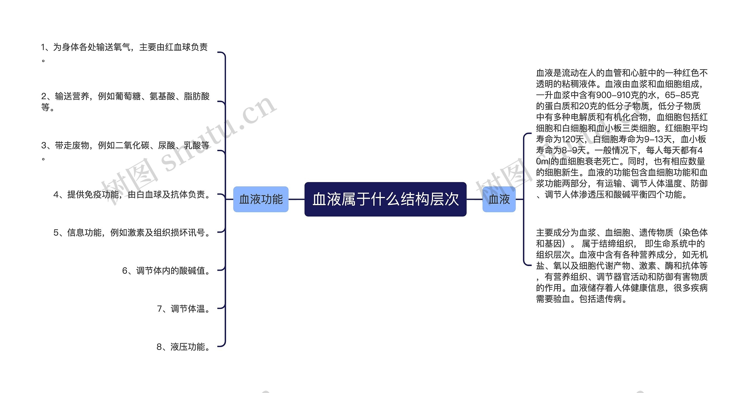 血液属于什么结构层次